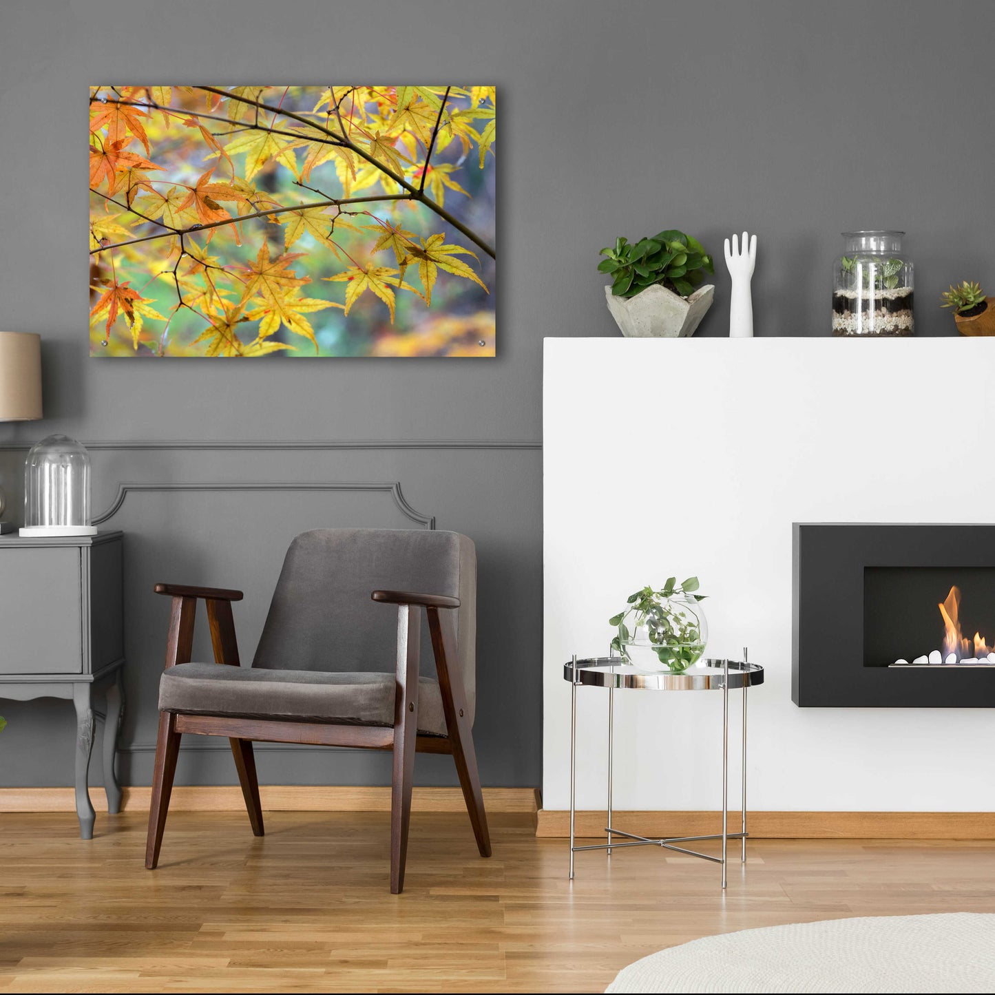 Epic Art 'Autumn Maples' by David Hammond, Acrylic Glass Wall Art,36x24