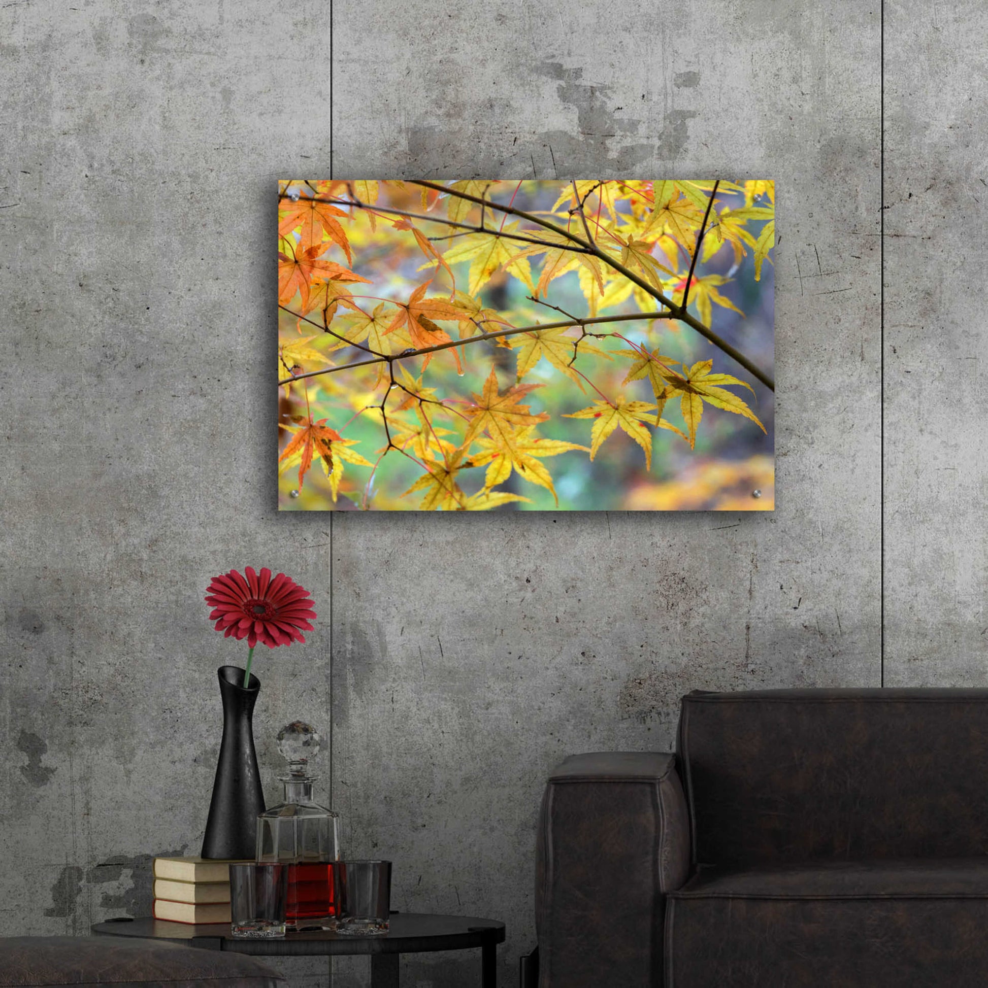 Epic Art 'Autumn Maples' by David Hammond, Acrylic Glass Wall Art,36x24