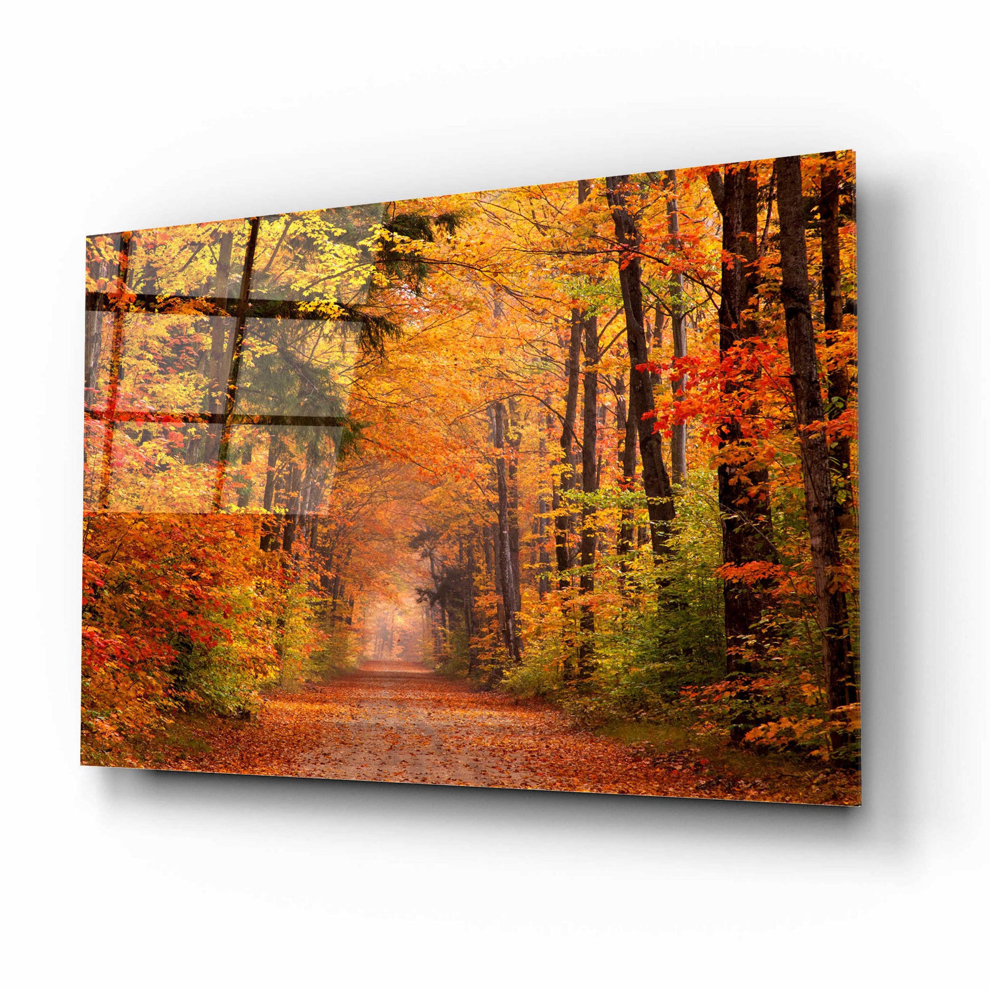 Epic Art 'Autumn Road' by David Hammond, Acrylic Glass Wall Art,16x12