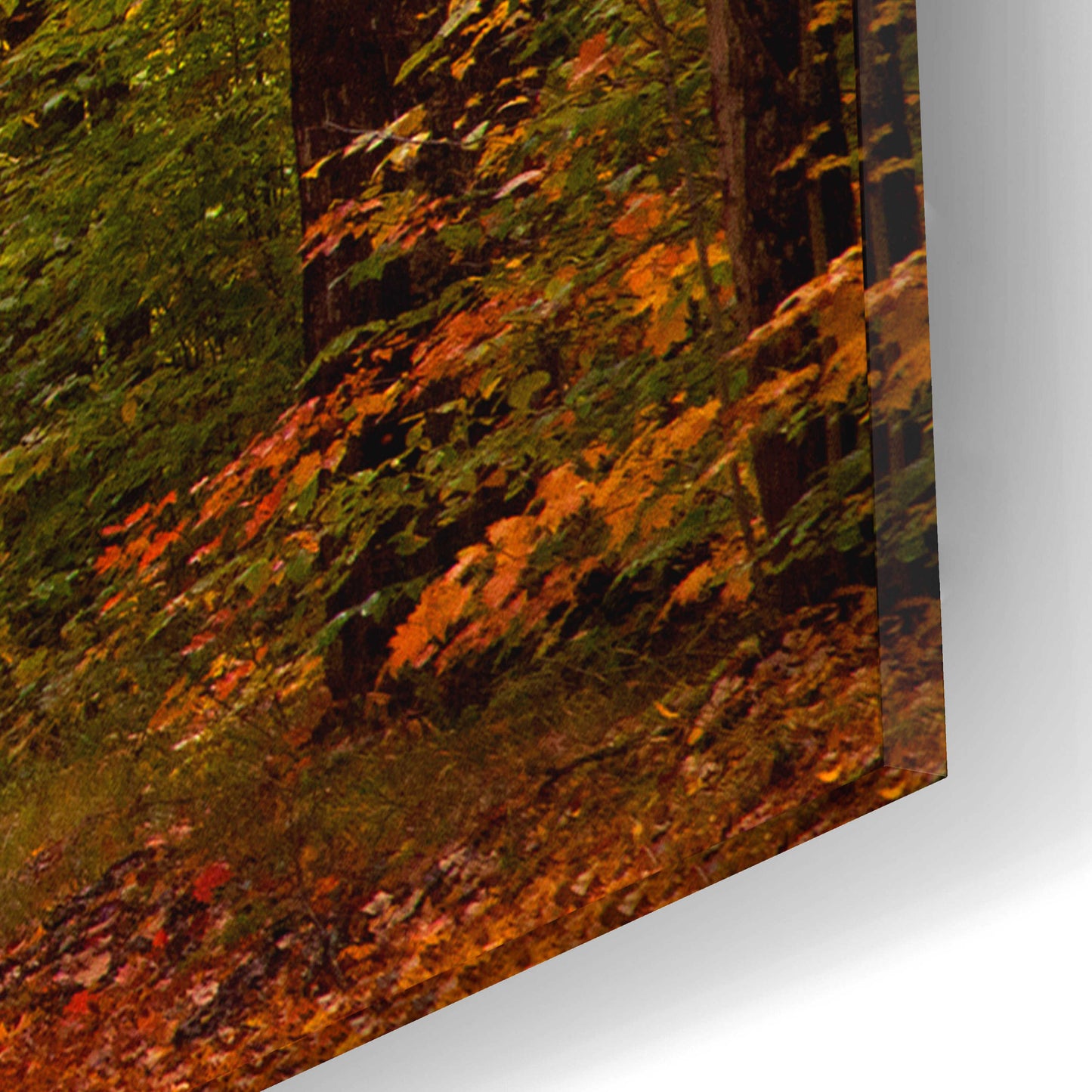 Epic Art 'Autumn Road' by David Hammond, Acrylic Glass Wall Art,16x12