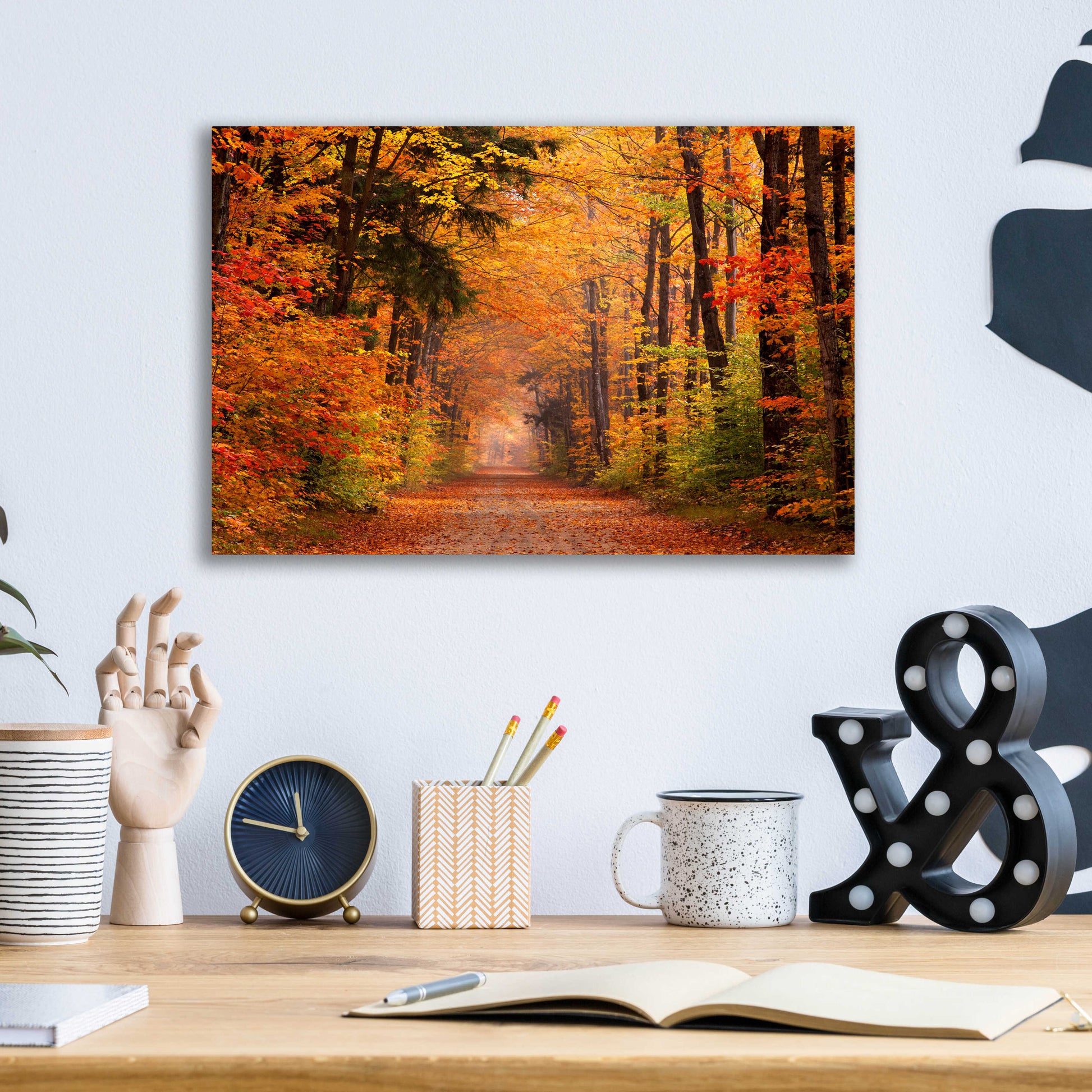 Epic Art 'Autumn Road' by David Hammond, Acrylic Glass Wall Art,16x12