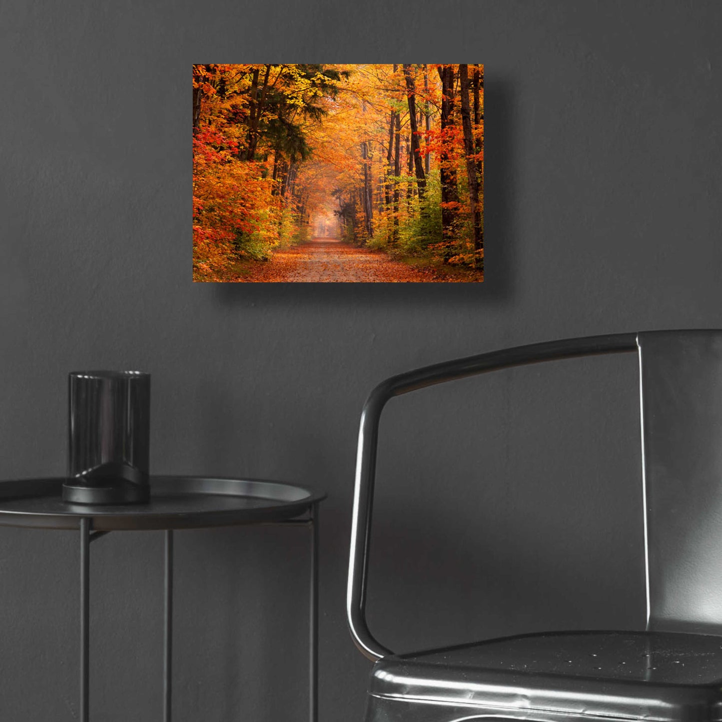 Epic Art 'Autumn Road' by David Hammond, Acrylic Glass Wall Art,16x12