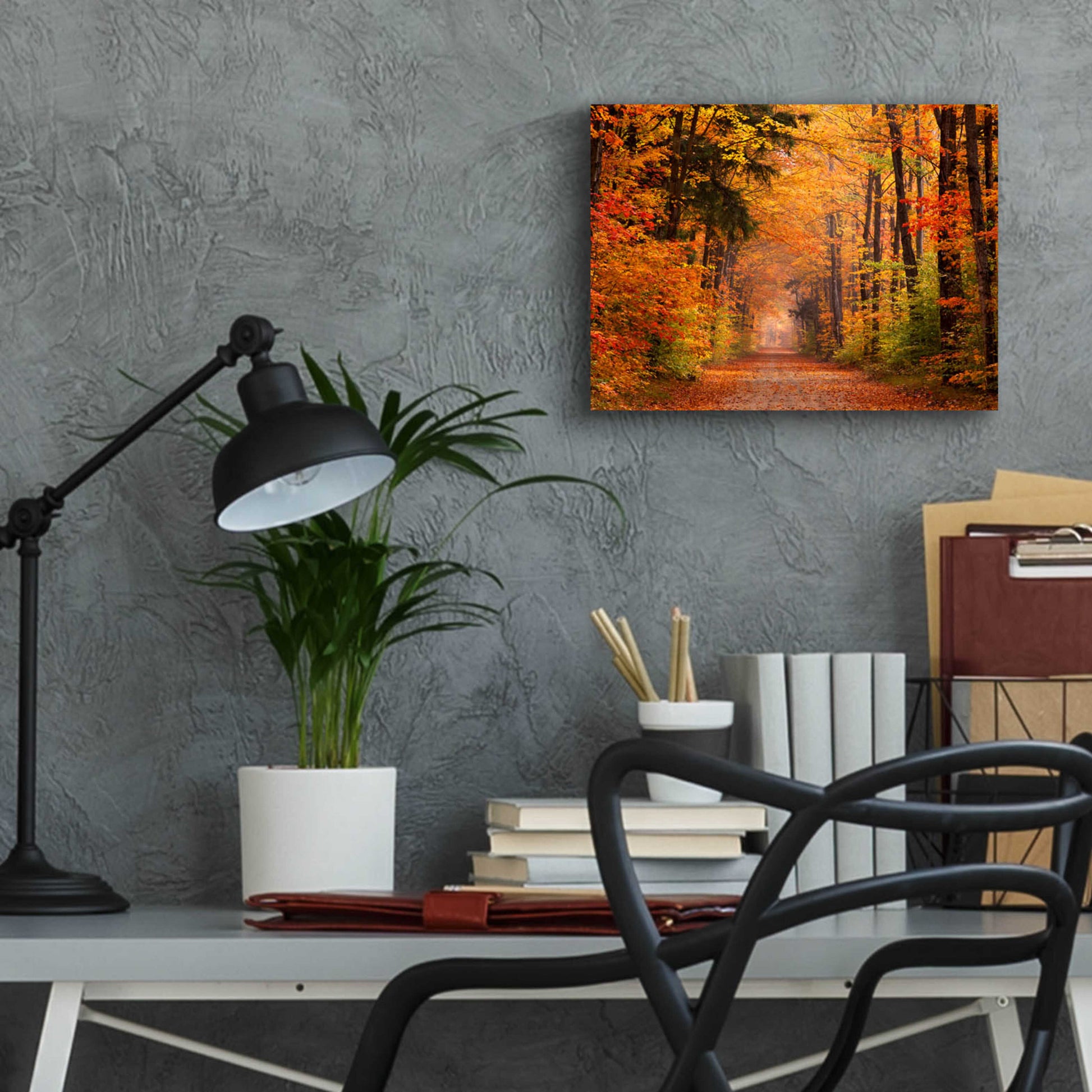 Epic Art 'Autumn Road' by David Hammond, Acrylic Glass Wall Art,16x12