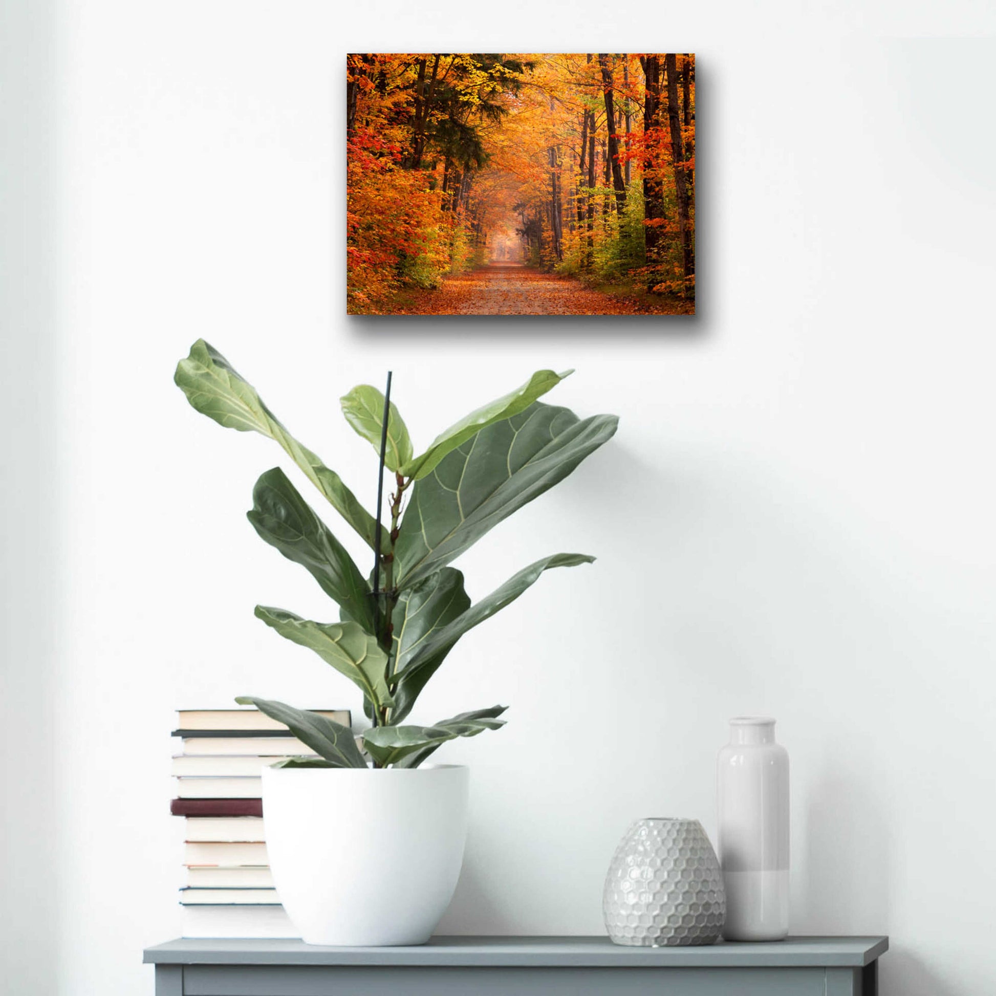 Epic Art 'Autumn Road' by David Hammond, Acrylic Glass Wall Art,16x12