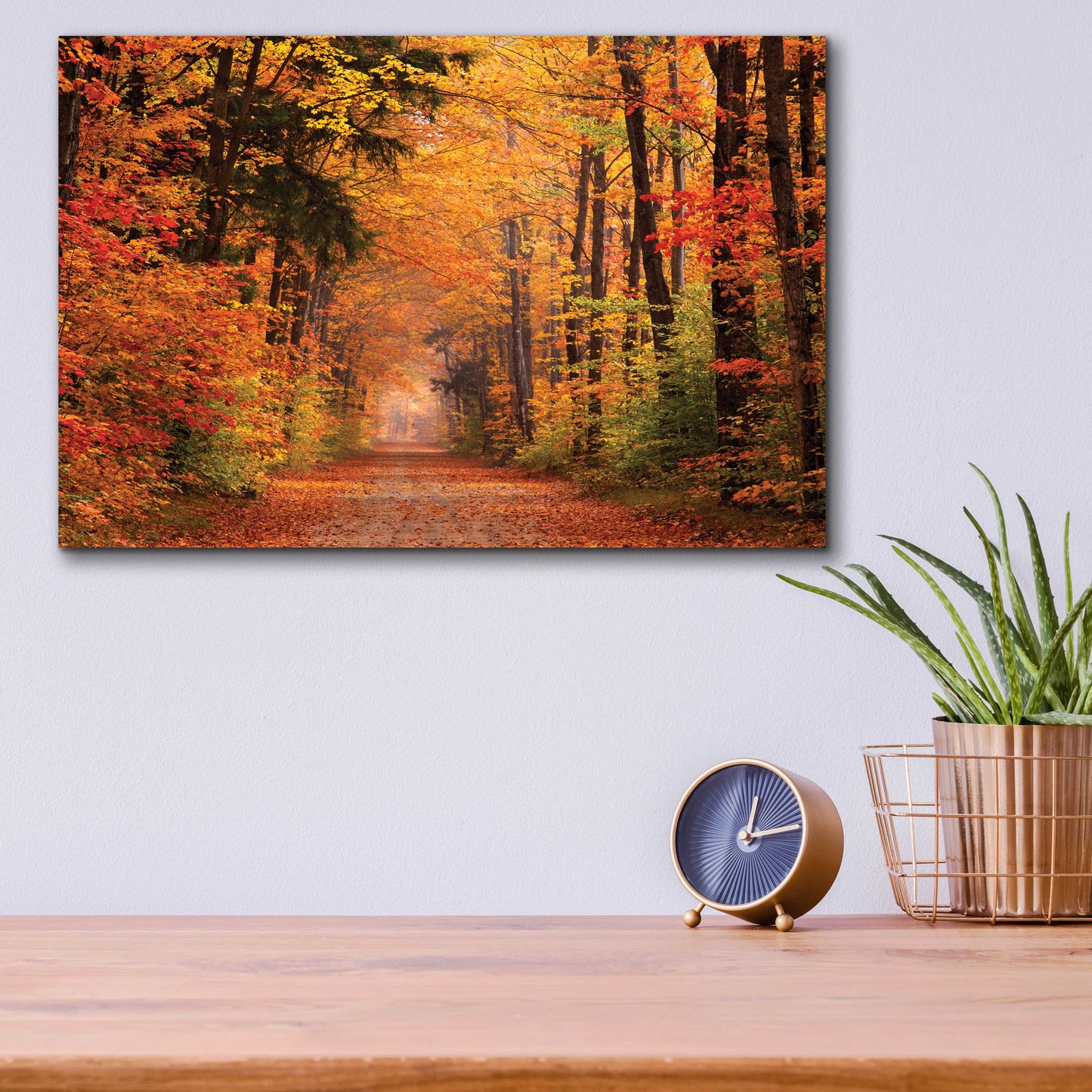 Epic Art 'Autumn Road' by David Hammond, Acrylic Glass Wall Art,16x12