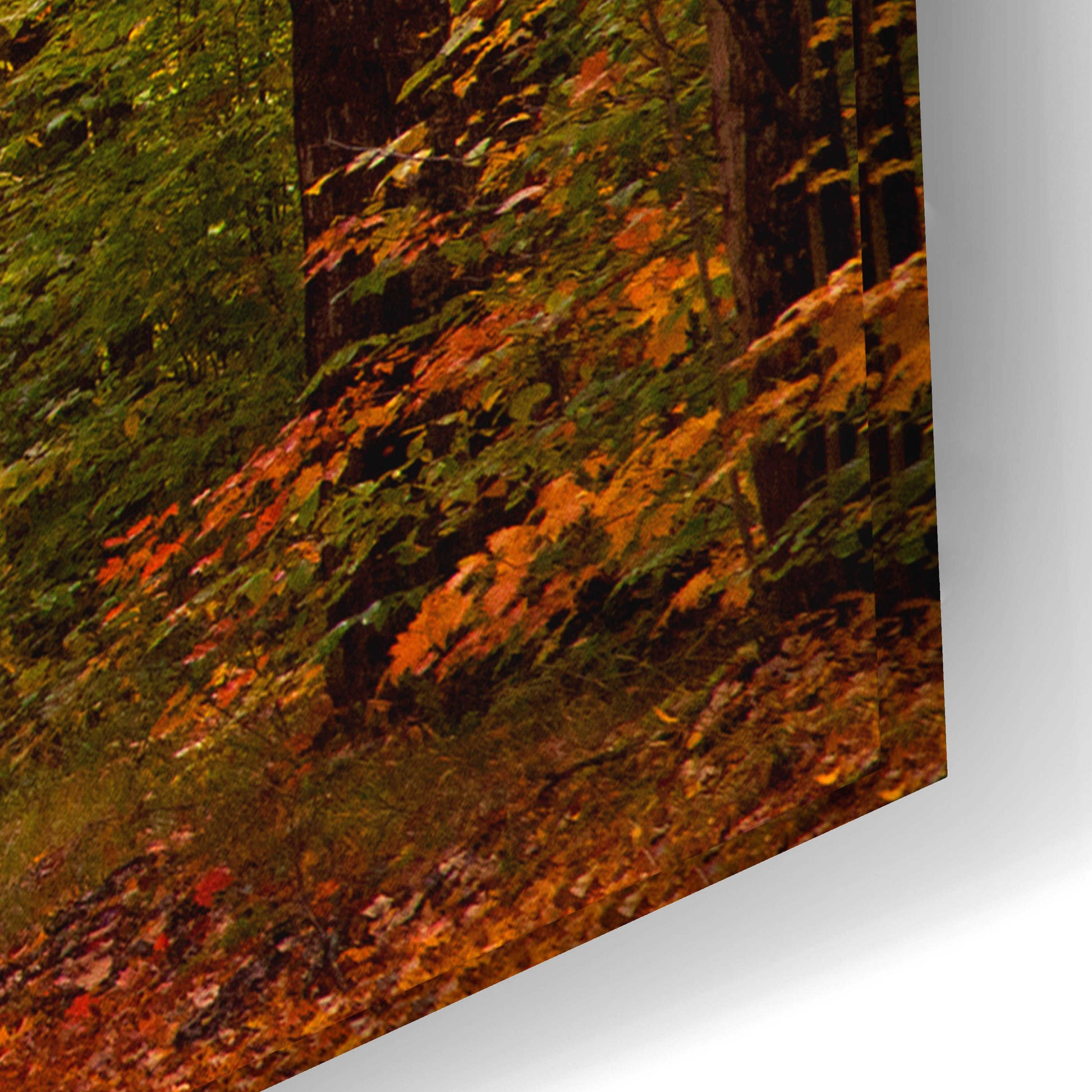 Epic Art 'Autumn Road' by David Hammond, Acrylic Glass Wall Art,24x16