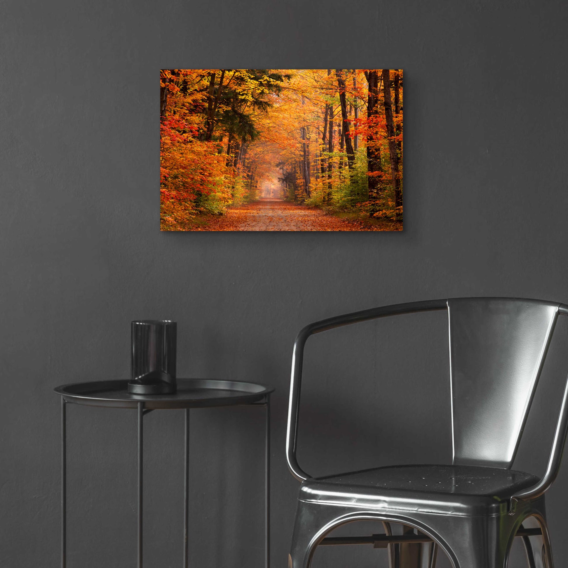 Epic Art 'Autumn Road' by David Hammond, Acrylic Glass Wall Art,24x16