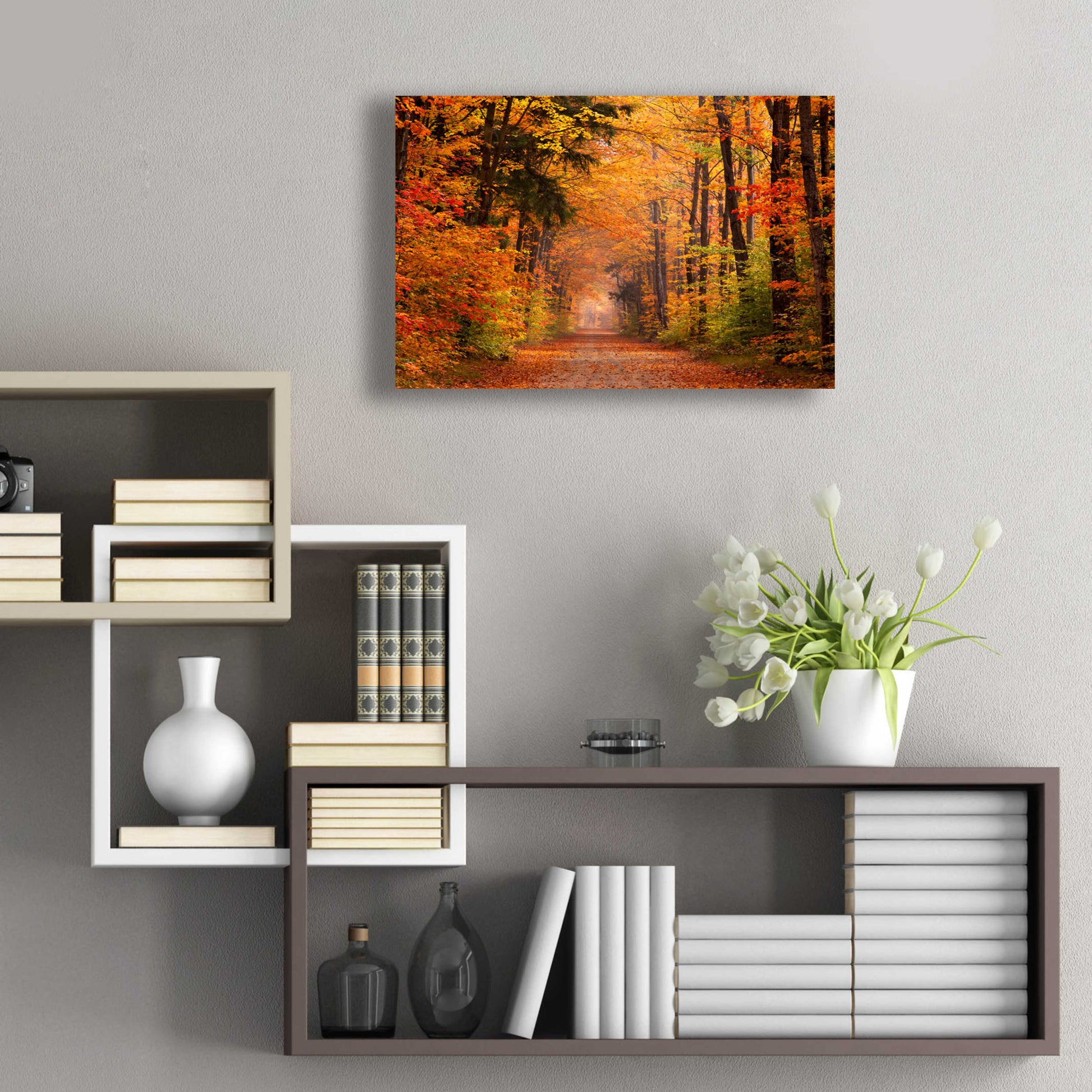 Epic Art 'Autumn Road' by David Hammond, Acrylic Glass Wall Art,24x16