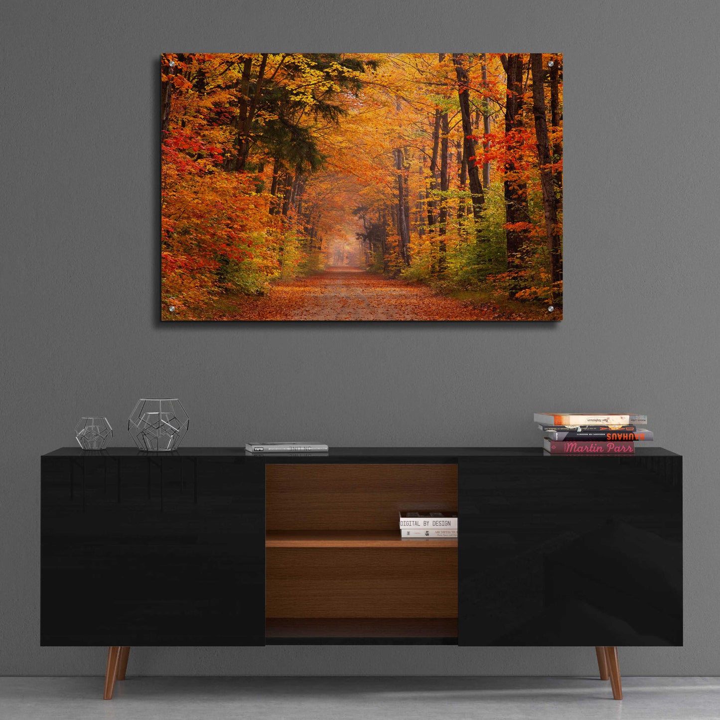 Epic Art 'Autumn Road' by David Hammond, Acrylic Glass Wall Art,36x24