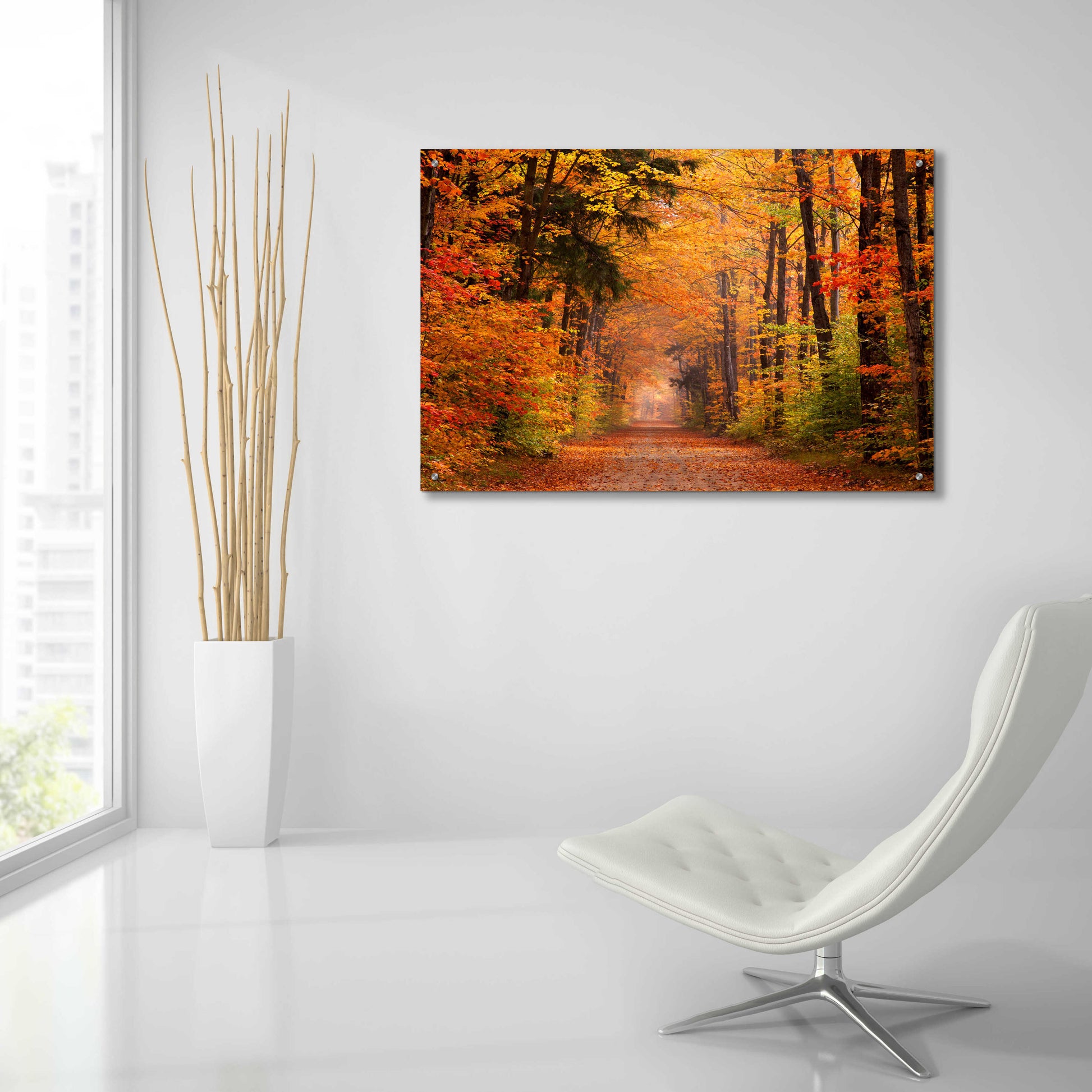 Epic Art 'Autumn Road' by David Hammond, Acrylic Glass Wall Art,36x24