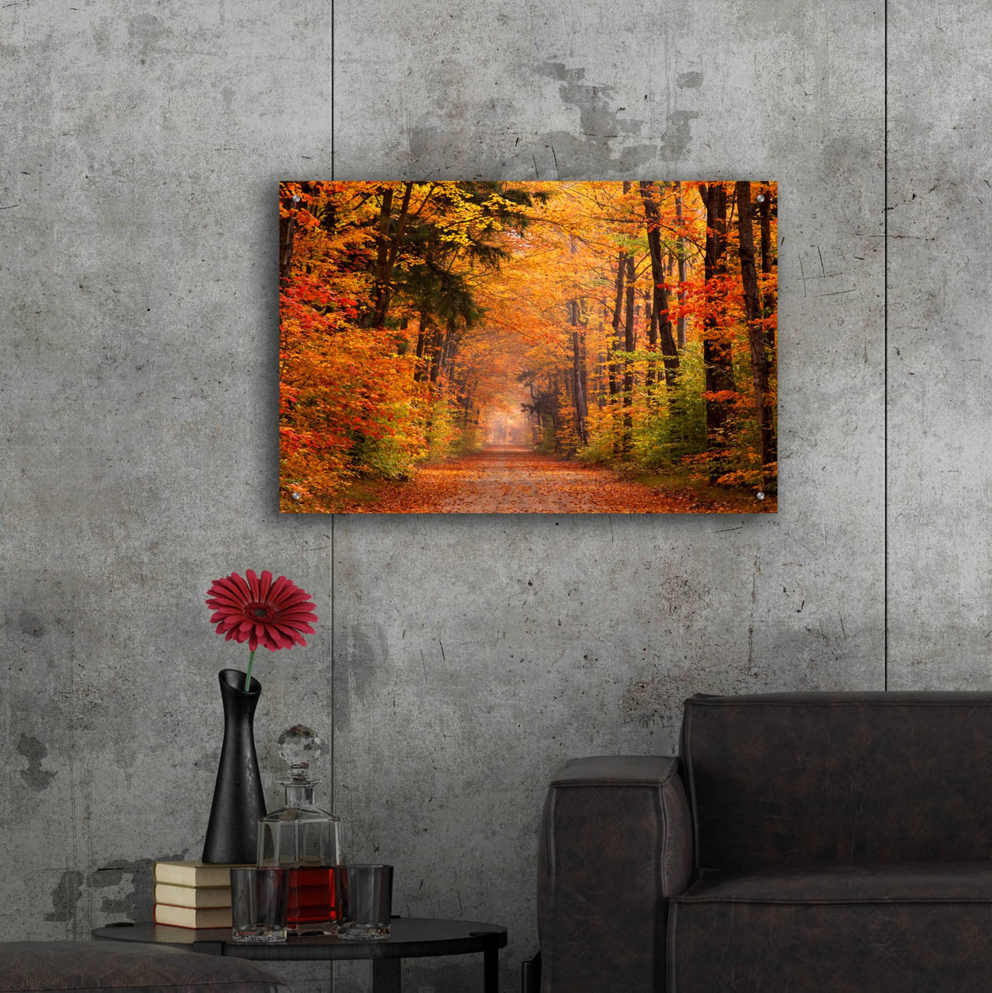 Epic Art 'Autumn Road' by David Hammond, Acrylic Glass Wall Art,36x24