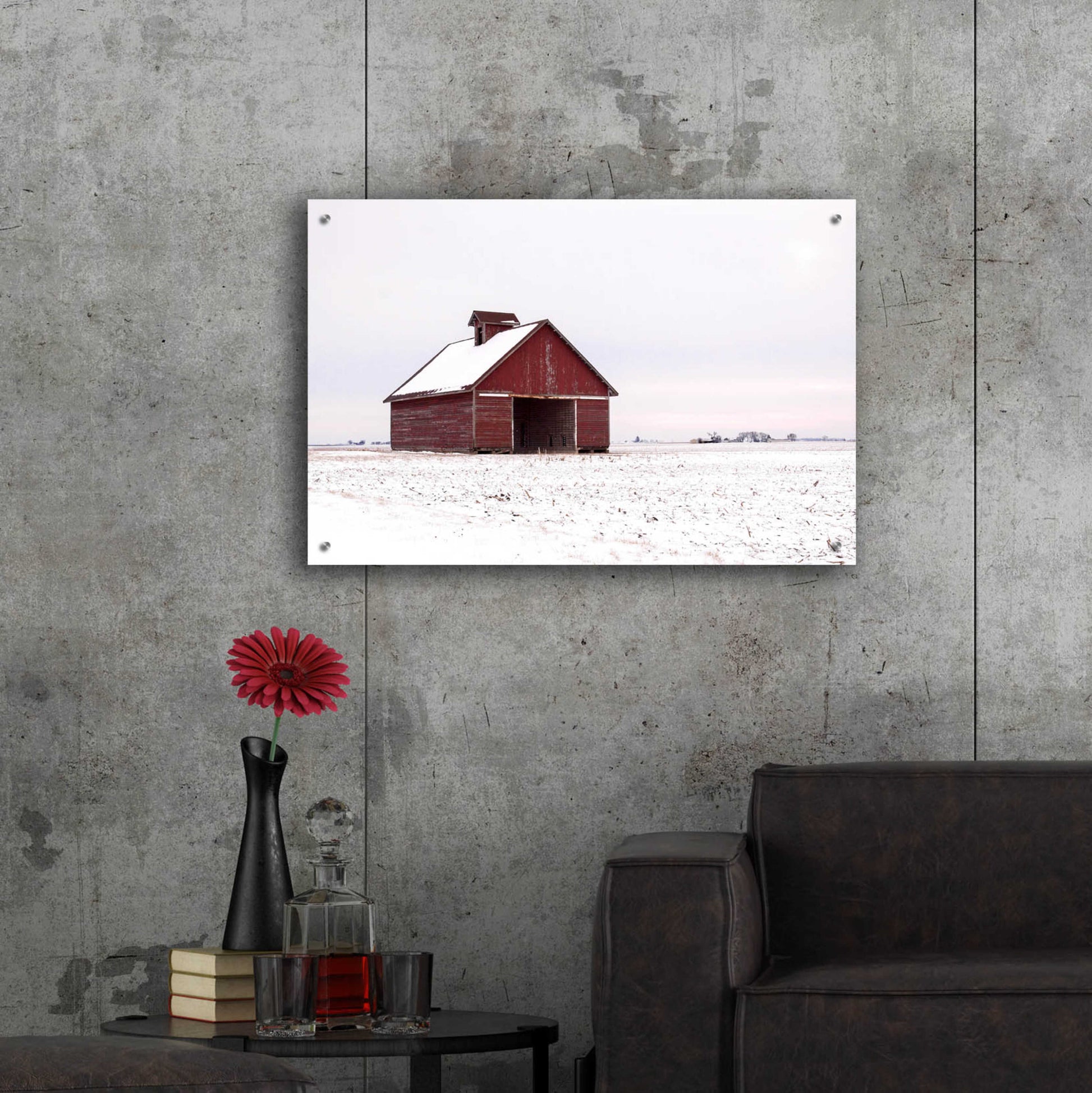 Epic Art 'Central Illinois Barn' by David Hammond, Acrylic Glass Wall Art,36x24