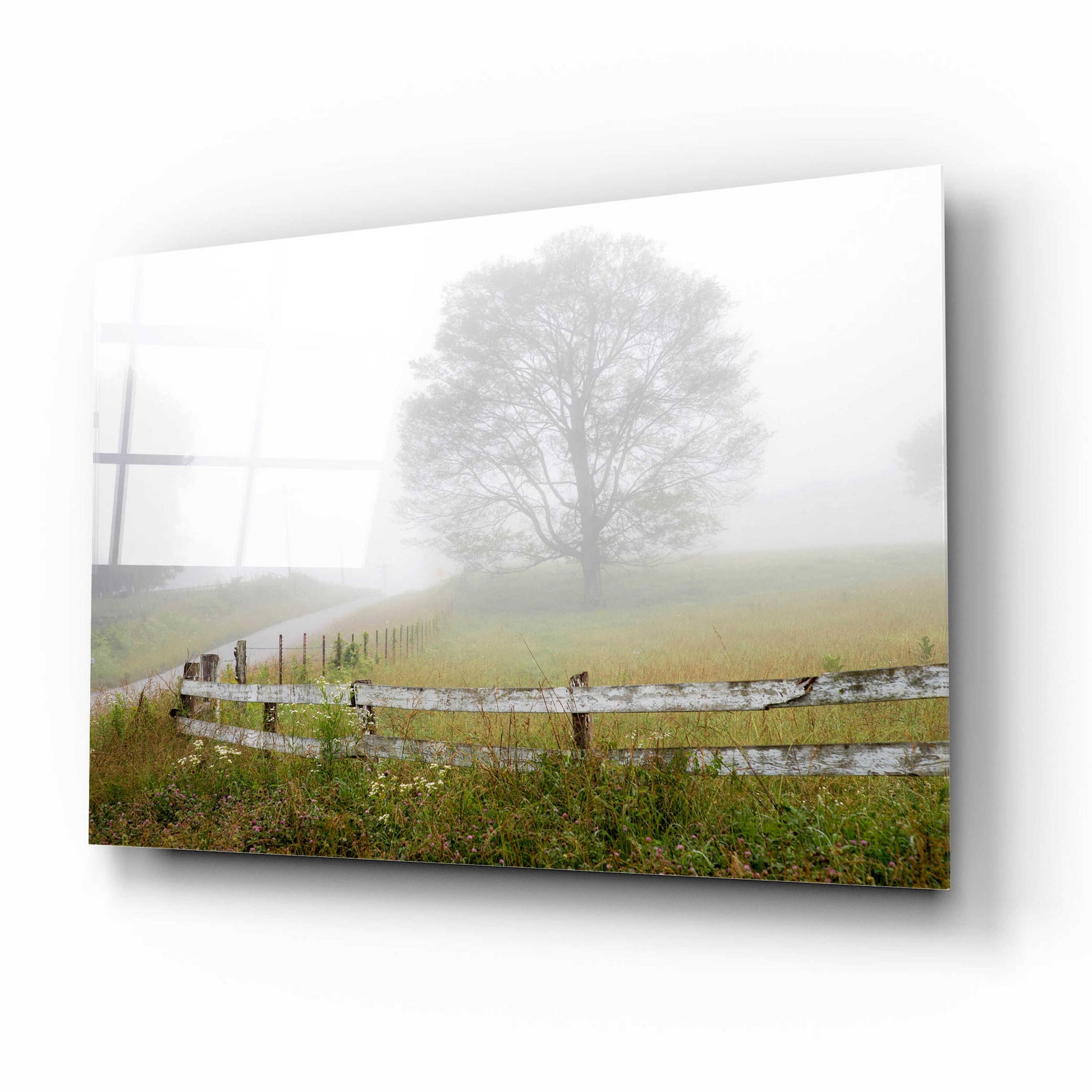 Epic Art 'Foggy Rural Scene' by David Hammond, Acrylic Glass Wall Art,16x12