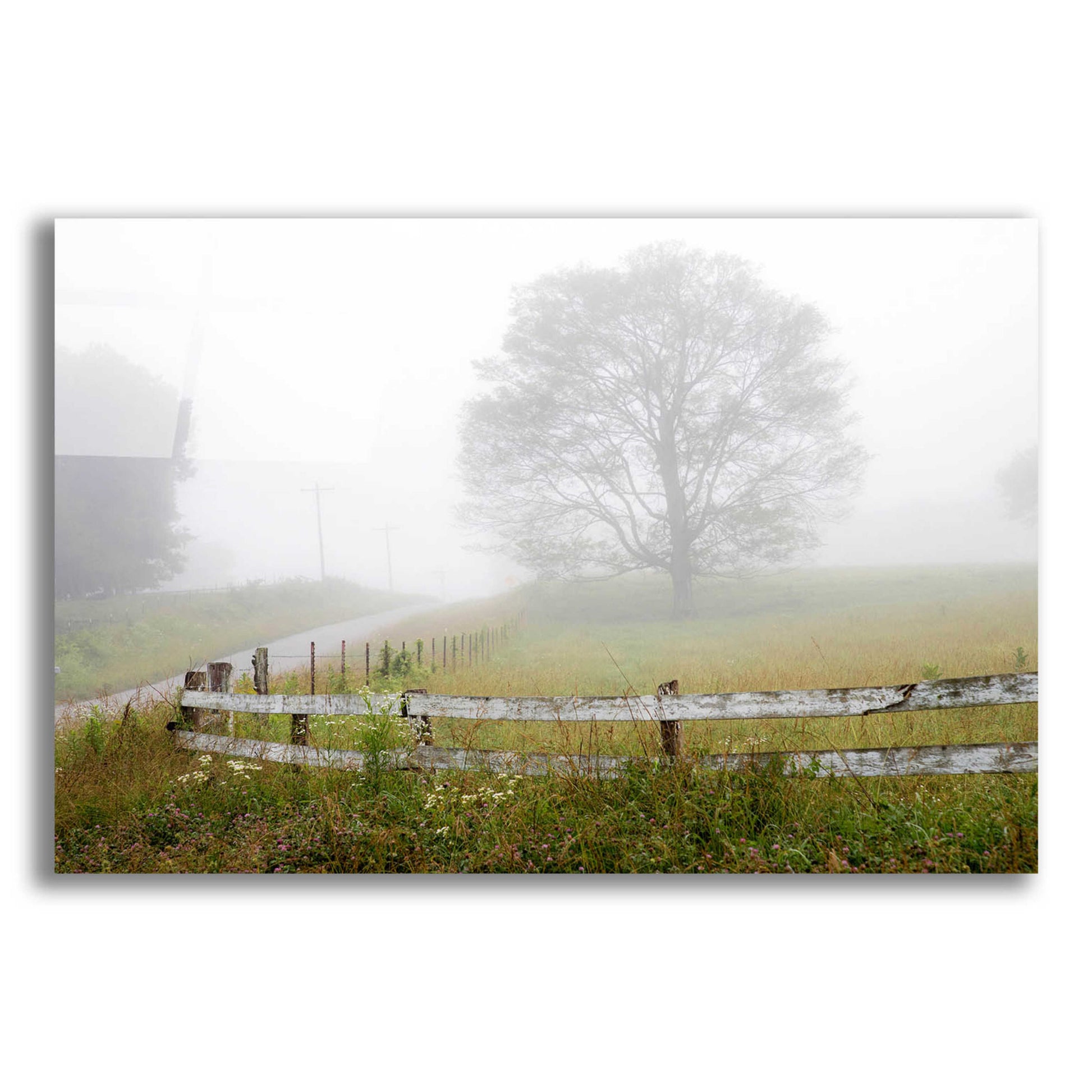 Epic Art 'Foggy Rural Scene' by David Hammond, Acrylic Glass Wall Art,16x12