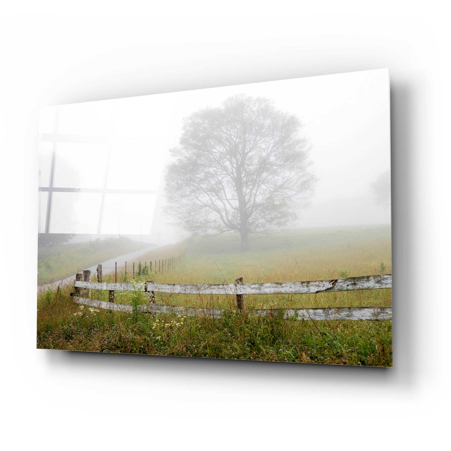 Epic Art 'Foggy Rural Scene' by David Hammond, Acrylic Glass Wall Art,24x16