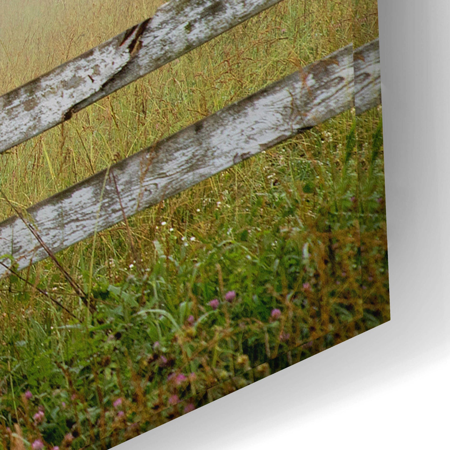 Epic Art 'Foggy Rural Scene' by David Hammond, Acrylic Glass Wall Art,24x16