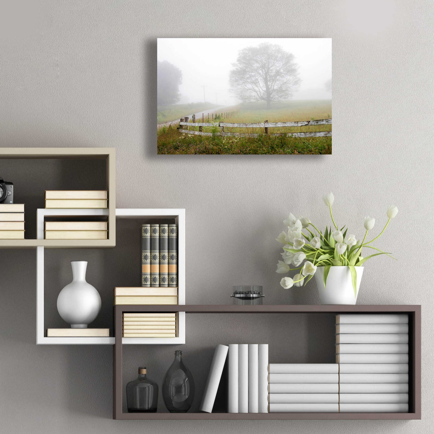 Epic Art 'Foggy Rural Scene' by David Hammond, Acrylic Glass Wall Art,24x16