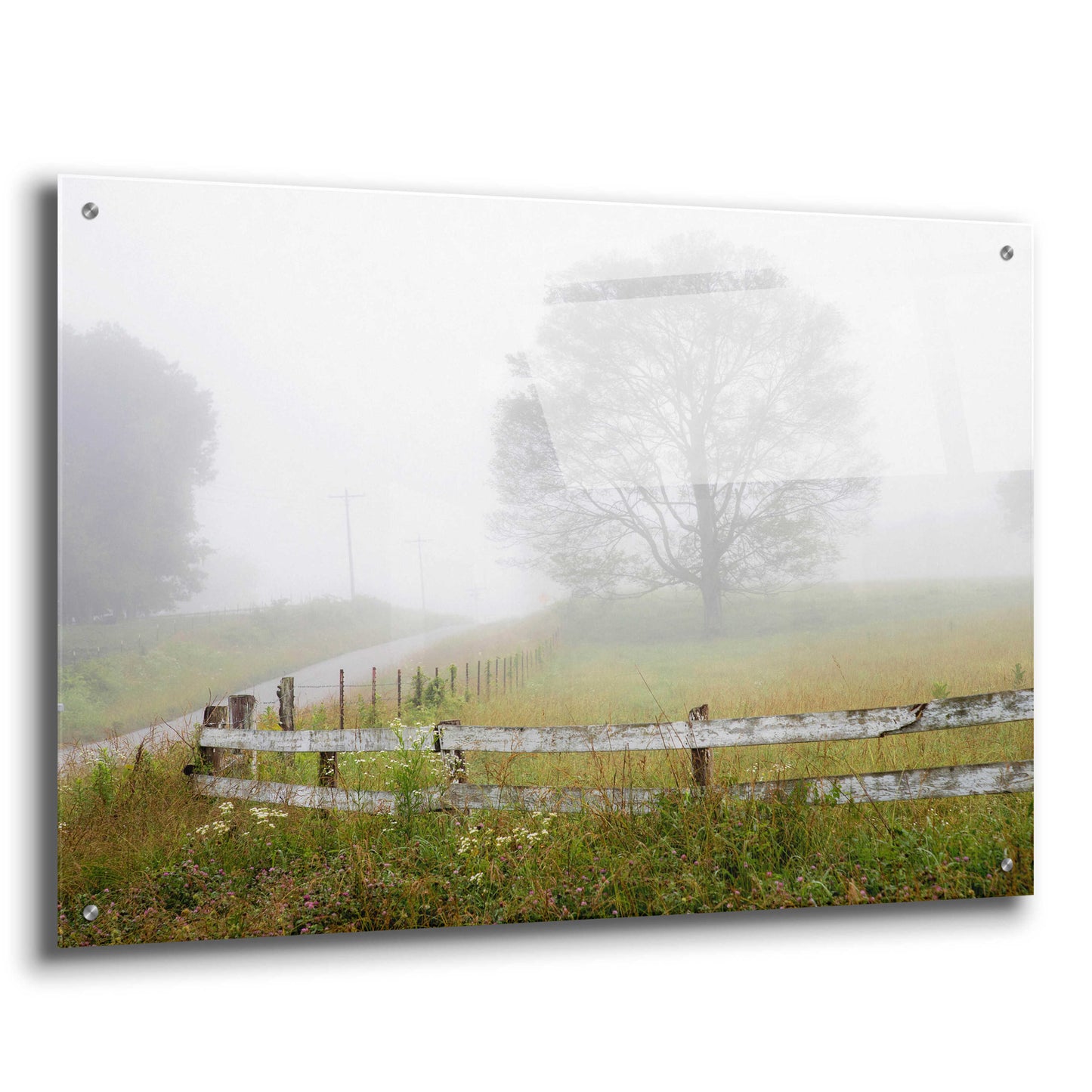 Epic Art 'Foggy Rural Scene' by David Hammond, Acrylic Glass Wall Art,36x24