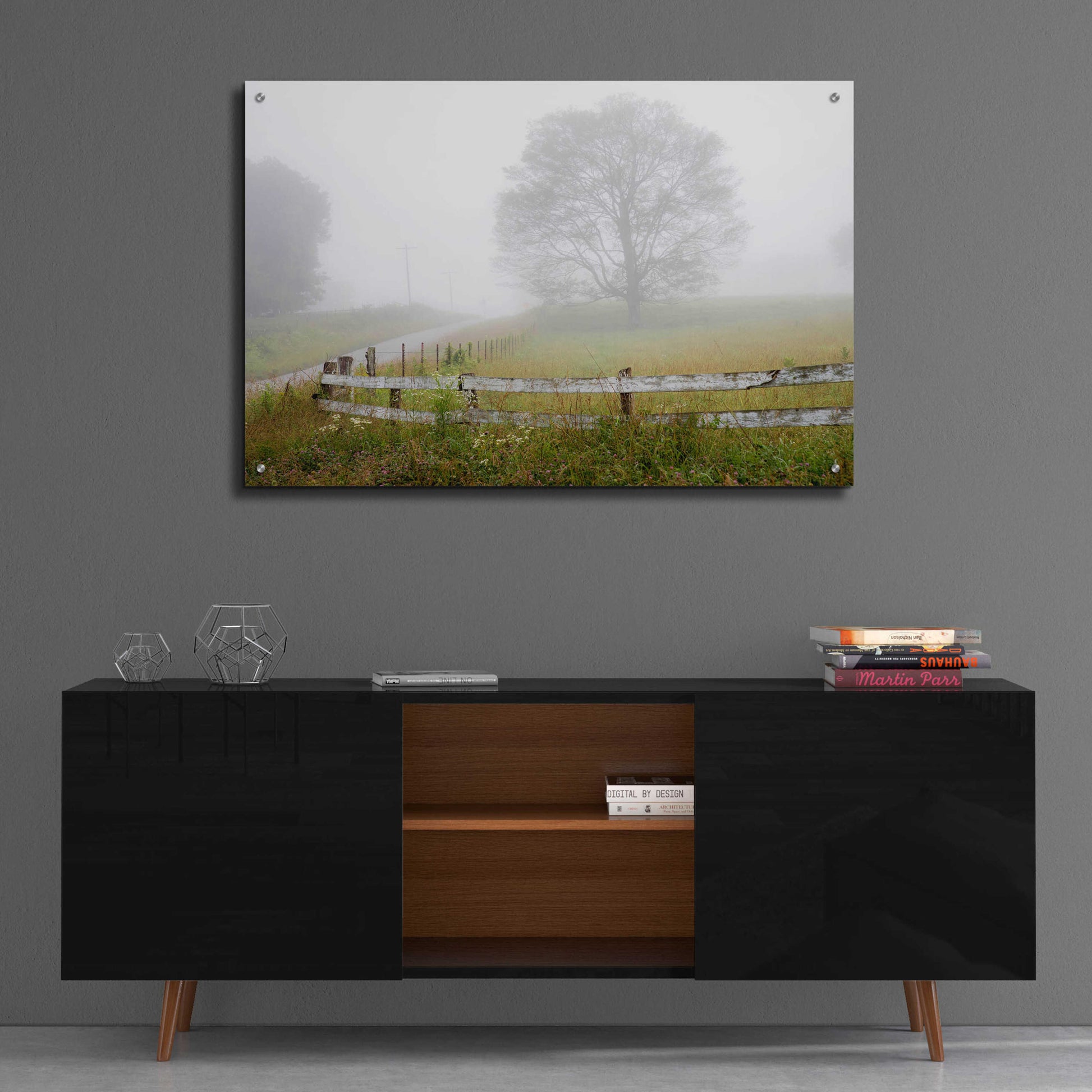 Epic Art 'Foggy Rural Scene' by David Hammond, Acrylic Glass Wall Art,36x24