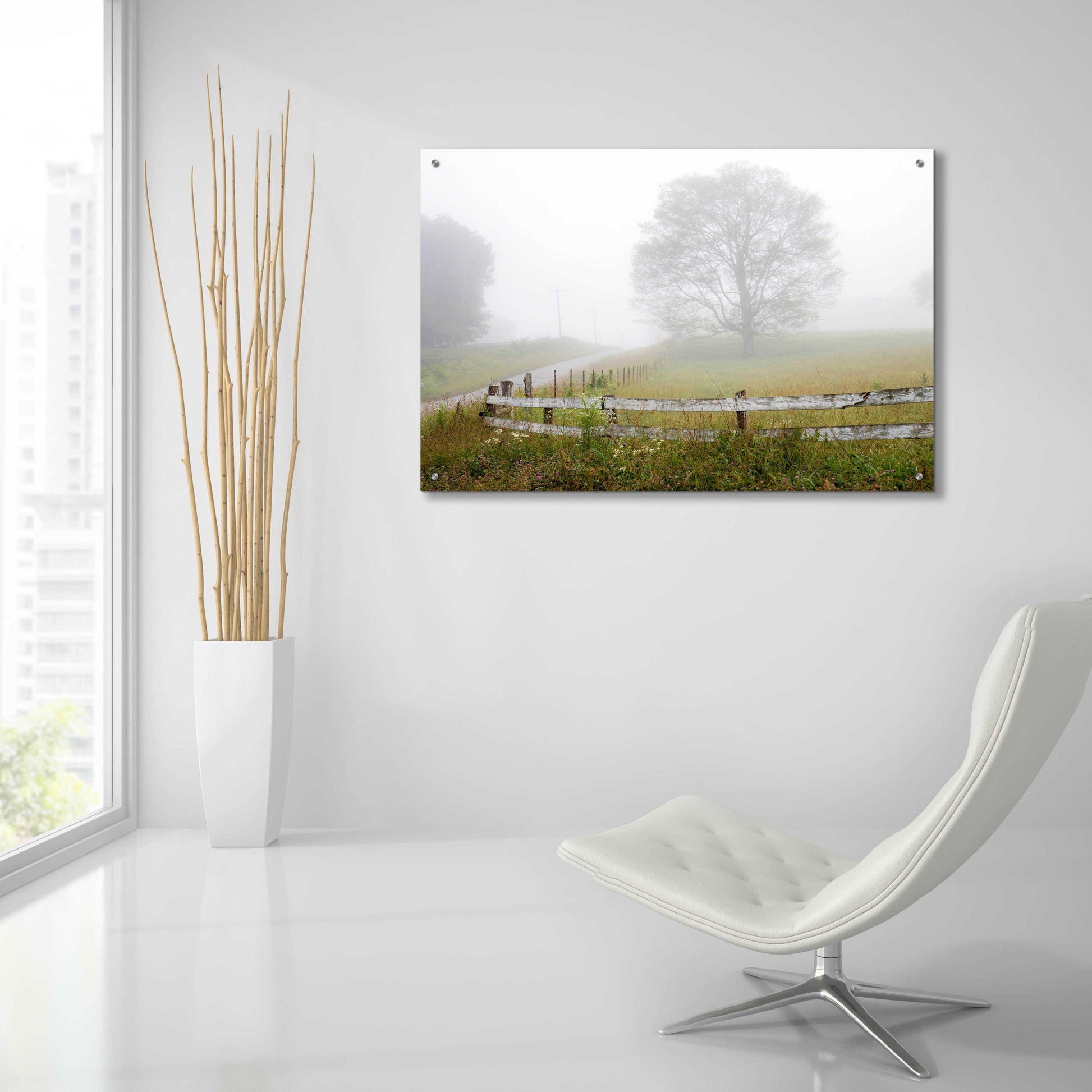 Epic Art 'Foggy Rural Scene' by David Hammond, Acrylic Glass Wall Art,36x24