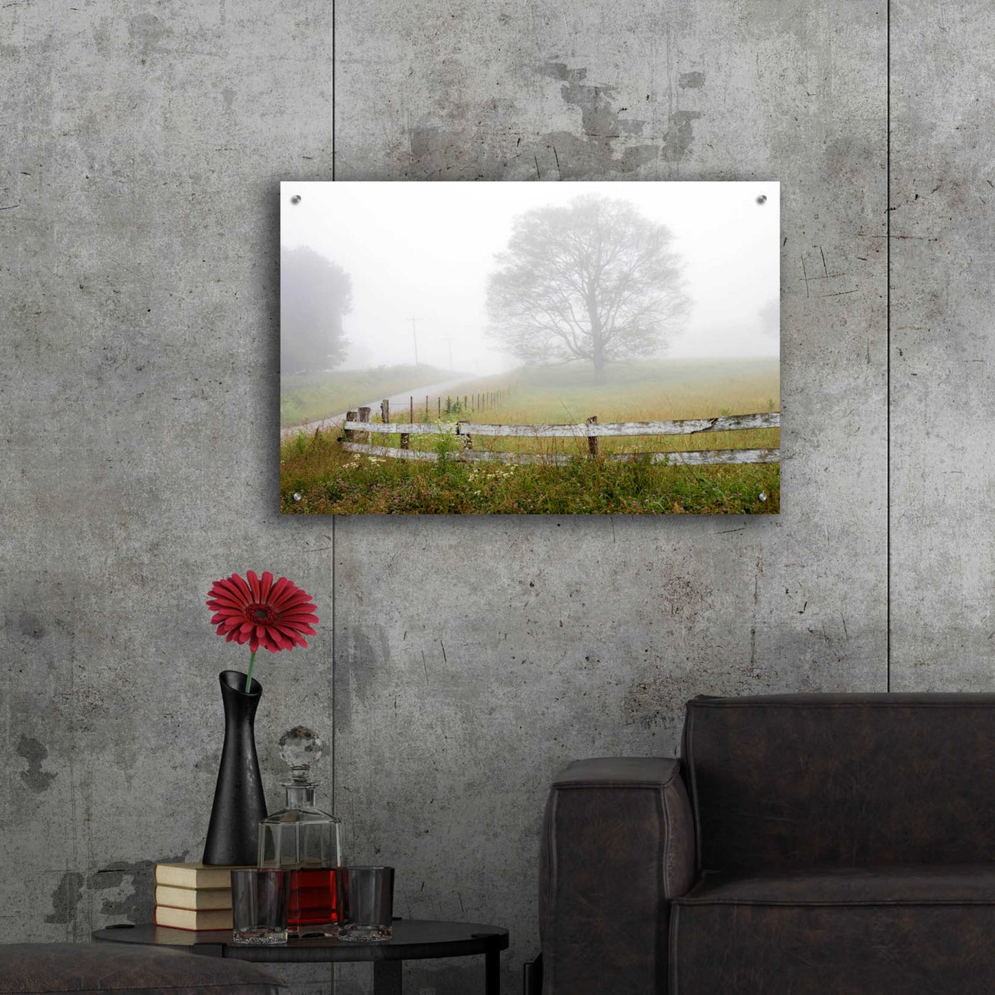 Epic Art 'Foggy Rural Scene' by David Hammond, Acrylic Glass Wall Art,36x24