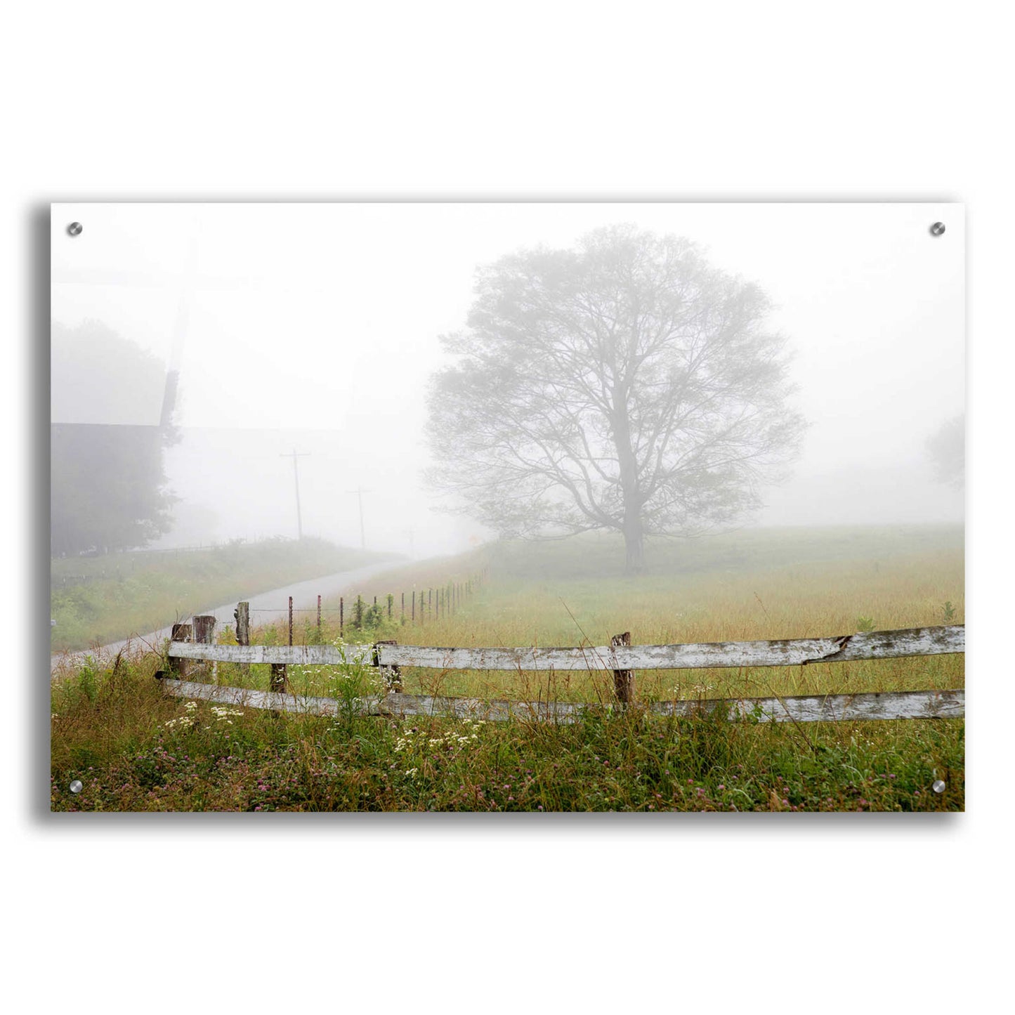 Epic Art 'Foggy Rural Scene' by David Hammond, Acrylic Glass Wall Art,36x24