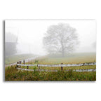 Epic Art 'Foggy Rural Scene' by David Hammond, Acrylic Glass Wall Art