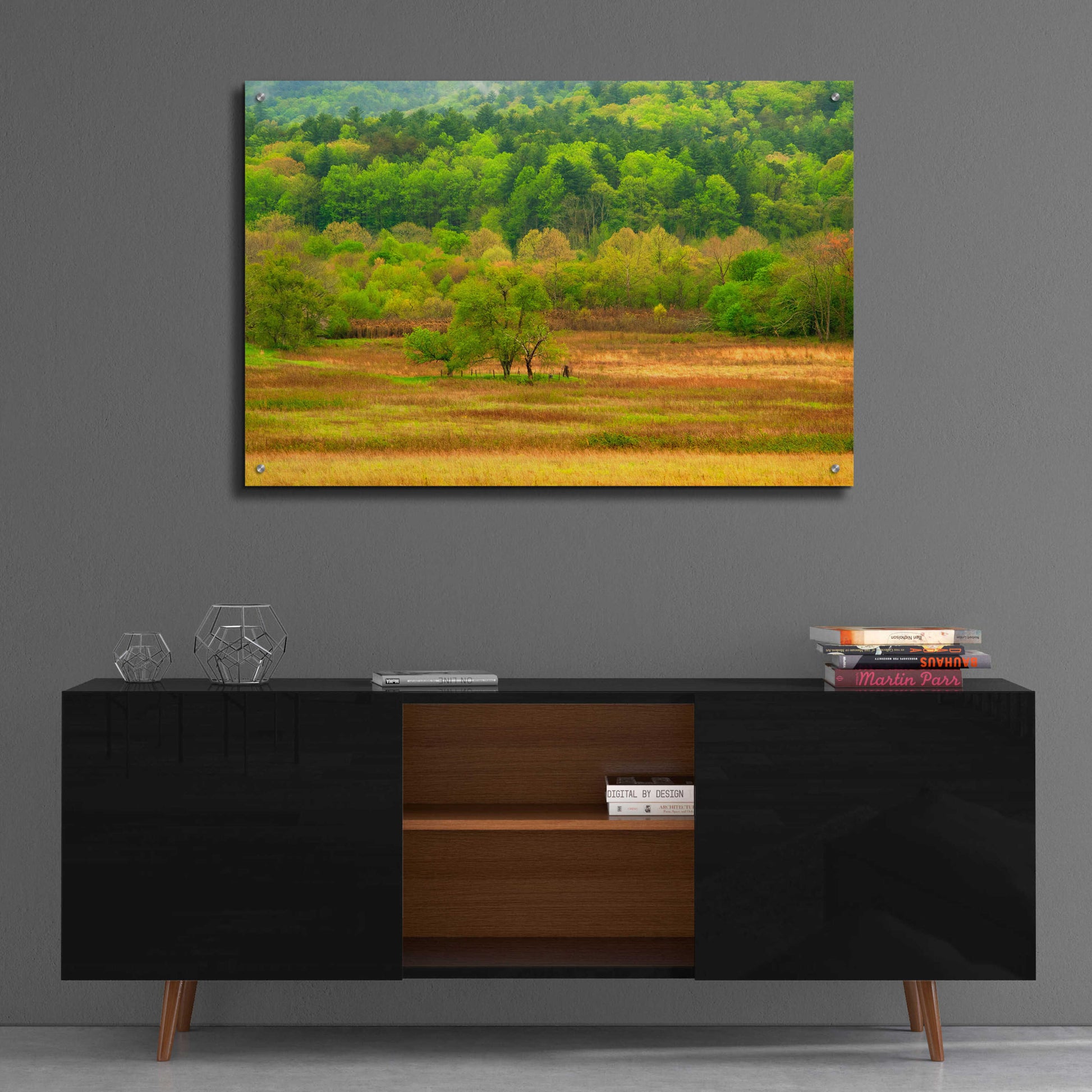 Epic Art 'Spring Trees' by David Hammond, Acrylic Glass Wall Art,36x24