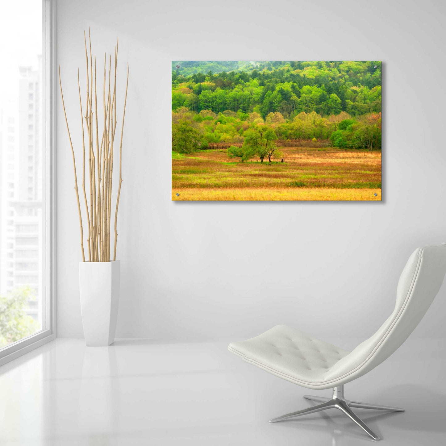 Epic Art 'Spring Trees' by David Hammond, Acrylic Glass Wall Art,36x24