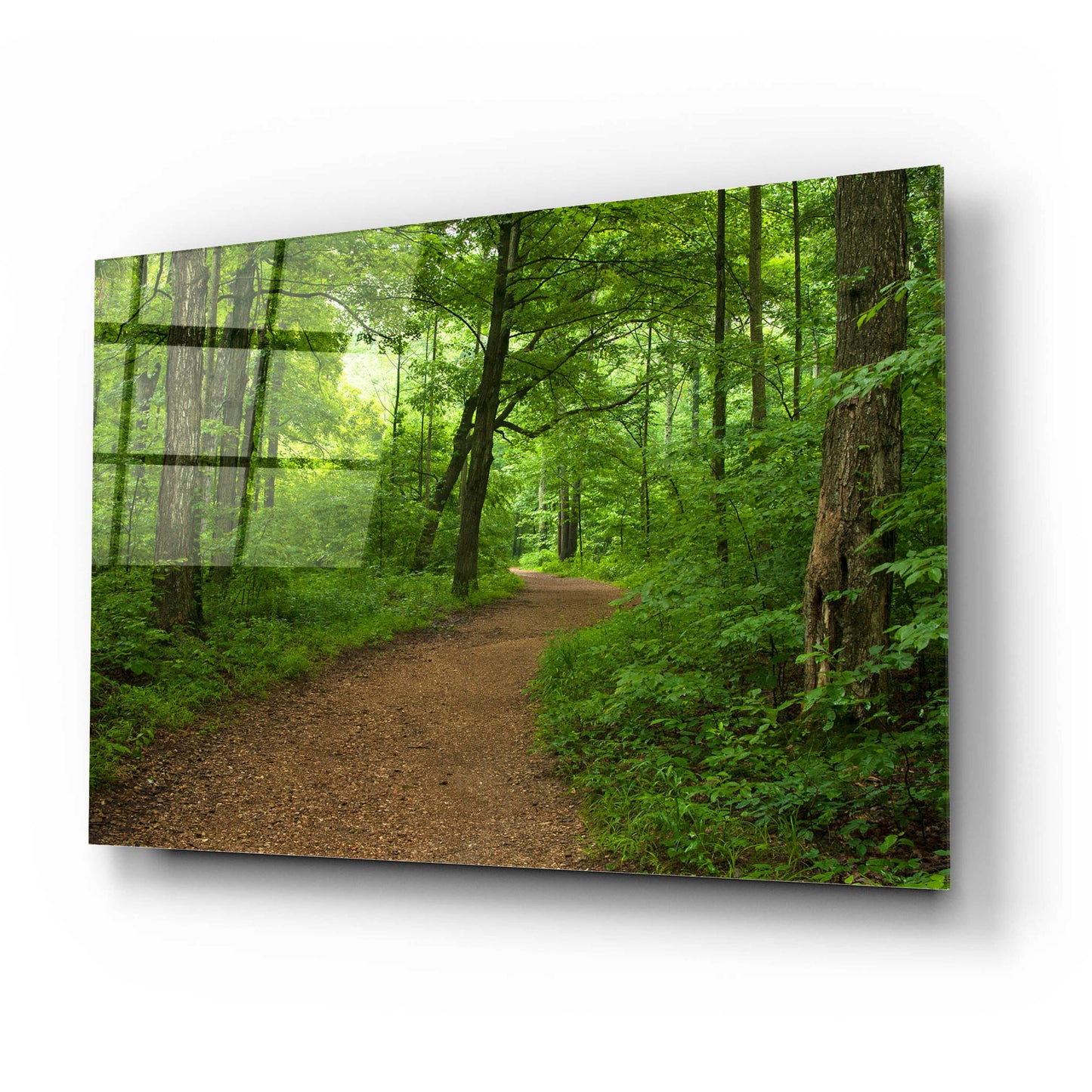 Epic Art 'Summer Walk' by David Hammond, Acrylic Glass Wall Art,24x16