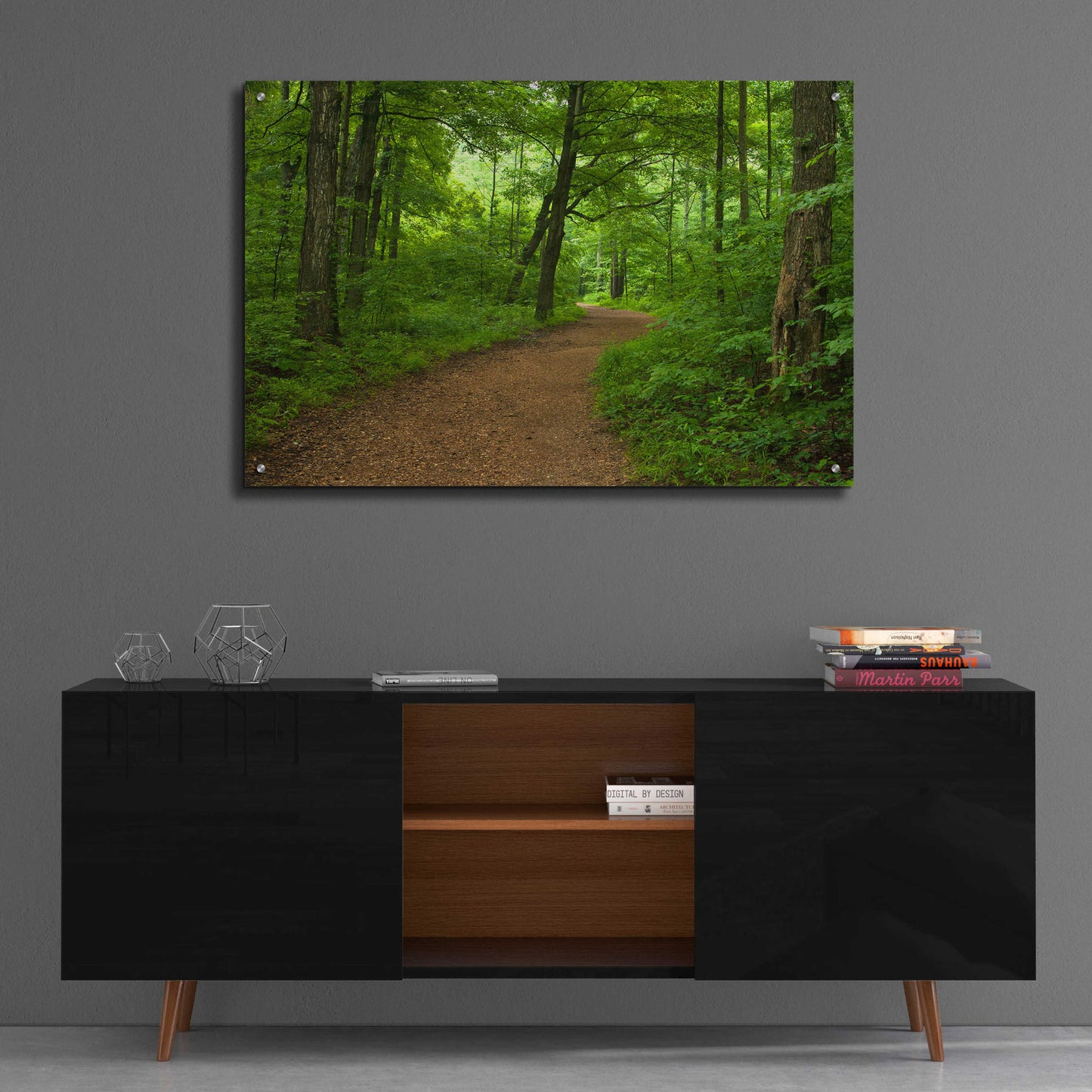 Epic Art 'Summer Walk' by David Hammond, Acrylic Glass Wall Art,36x24