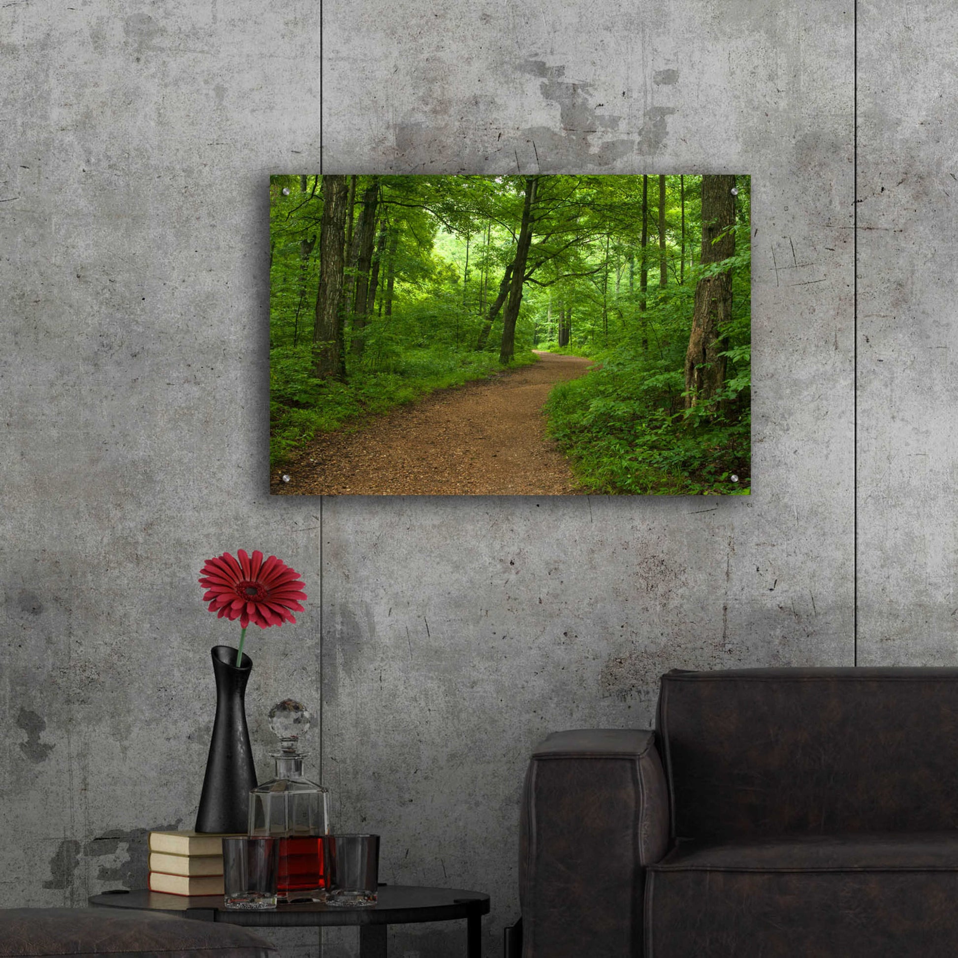 Epic Art 'Summer Walk' by David Hammond, Acrylic Glass Wall Art,36x24