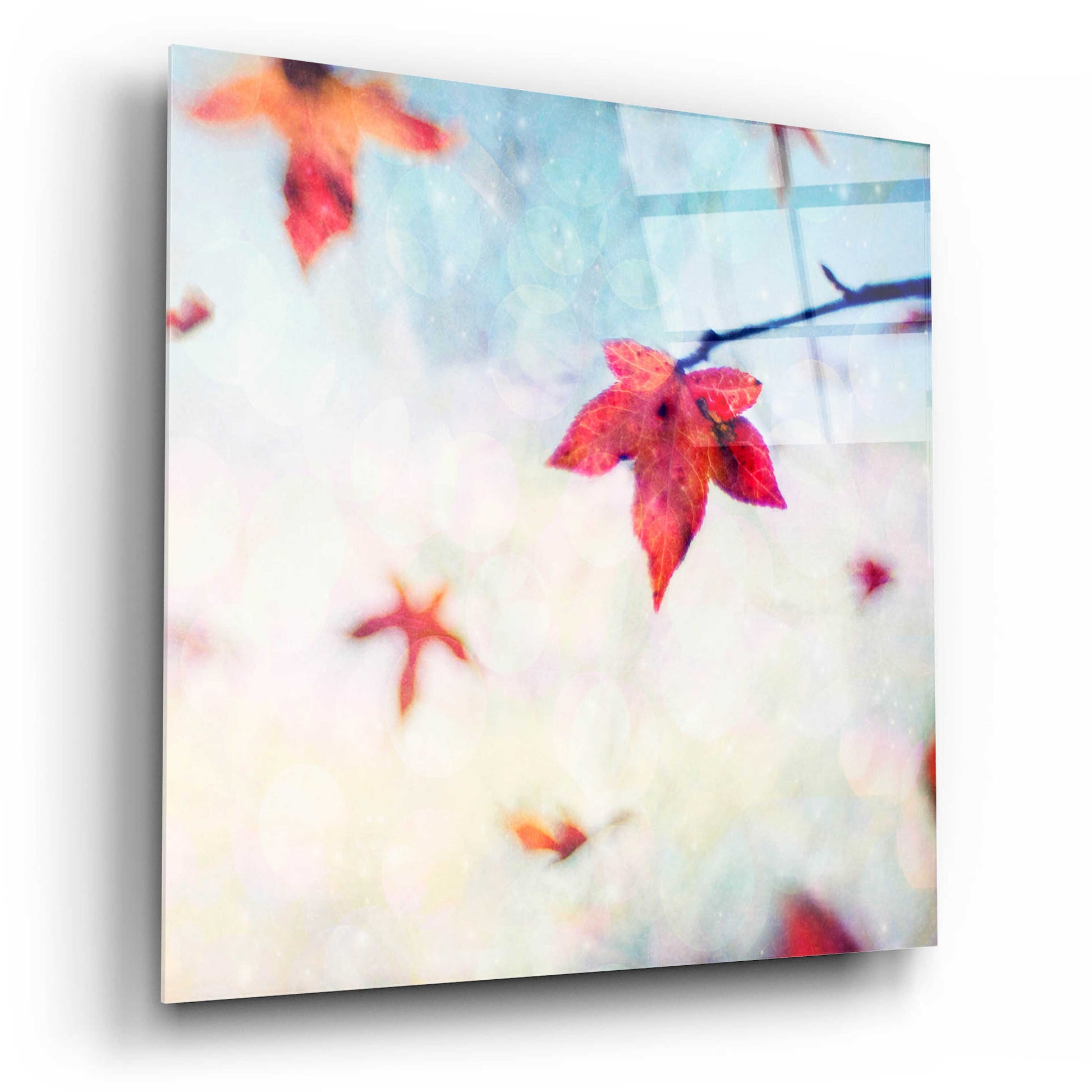 Epic Art 'All Fall Down' by Dawn D Hanna, Acrylic Glass Wall Art,12x12