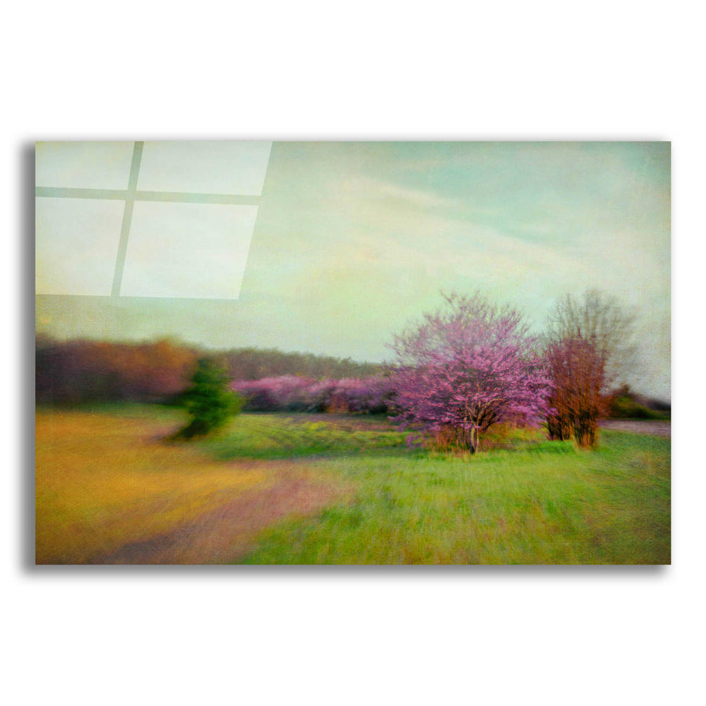 Epic Art 'Nature Is Divine' by Dawn D Hanna, Acrylic Glass Wall Art