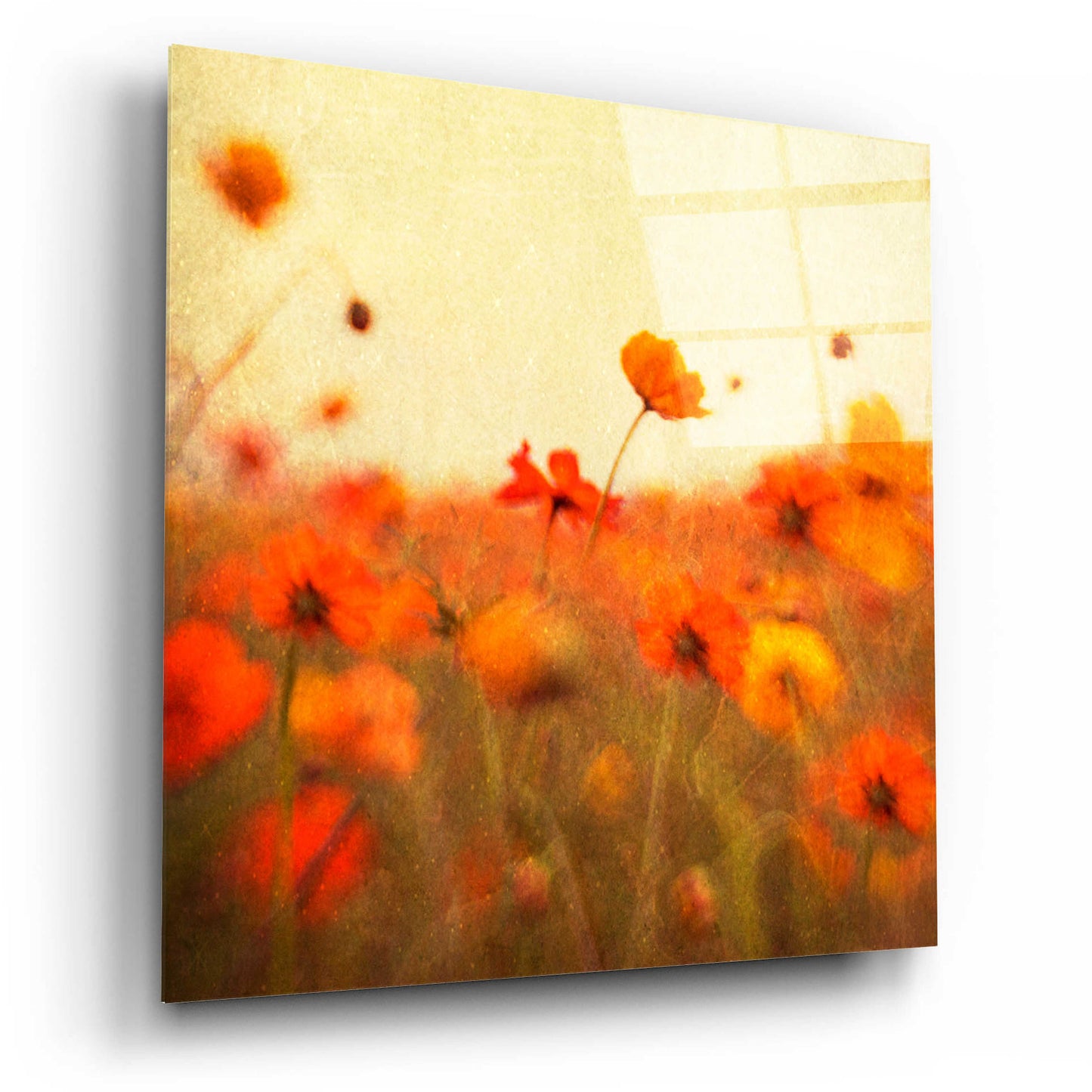 Epic Art 'Orange Happiness' by Dawn D Hanna, Acrylic Glass Wall Art,12x12