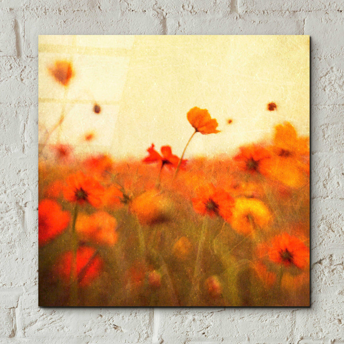 Epic Art 'Orange Happiness' by Dawn D Hanna, Acrylic Glass Wall Art,12x12