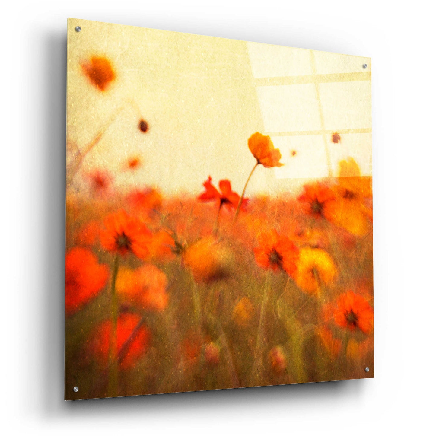 Epic Art 'Orange Happiness' by Dawn D Hanna, Acrylic Glass Wall Art,36x36