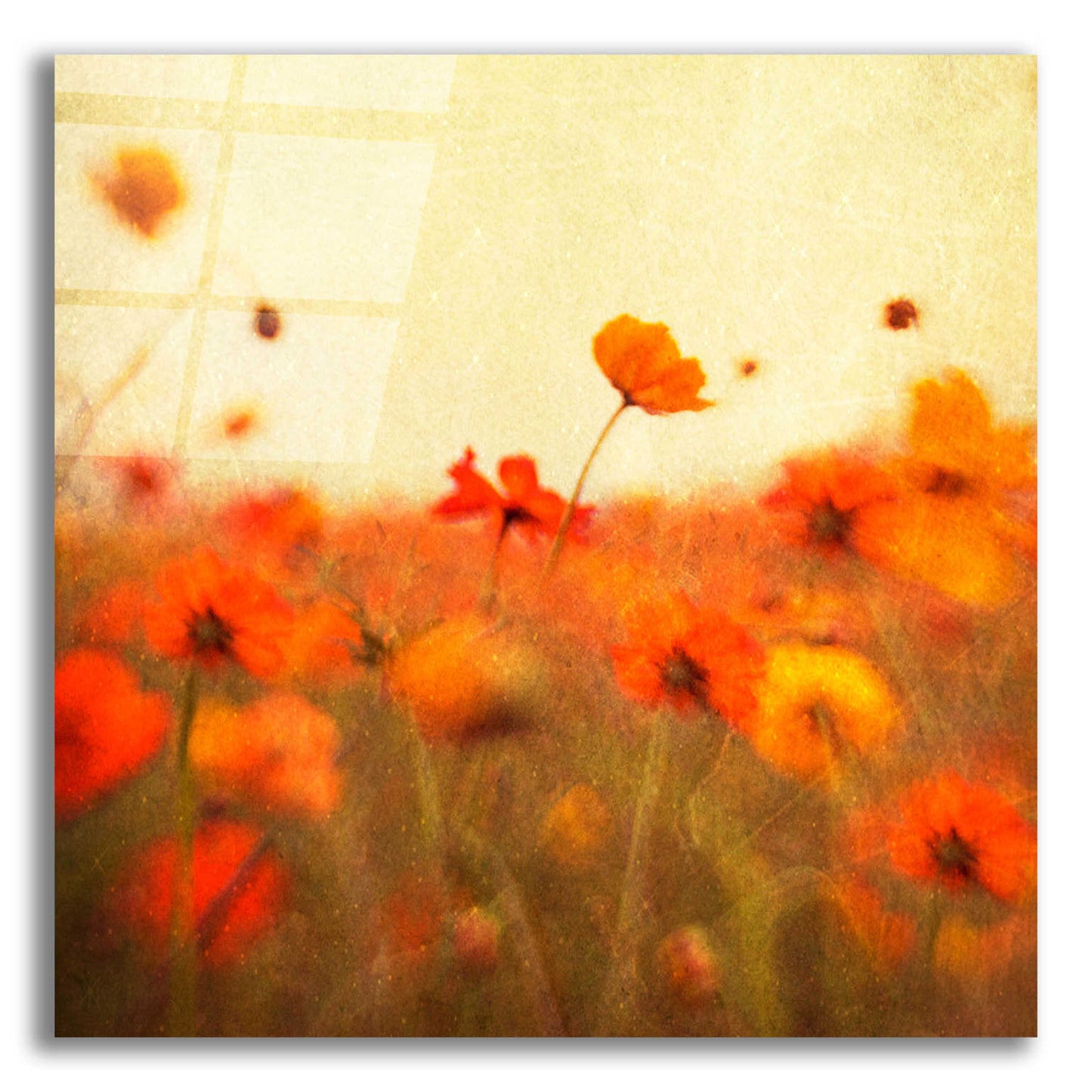 Epic Art 'Orange Happiness' by Dawn D Hanna, Acrylic Glass Wall Art