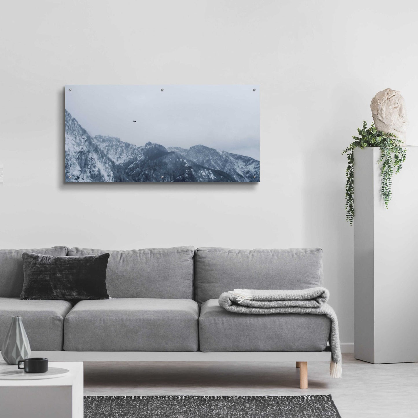 Epic Art 'Alpine Winter Bird' by Epic Portfolio, Acrylic Glass Wall Art,48x24