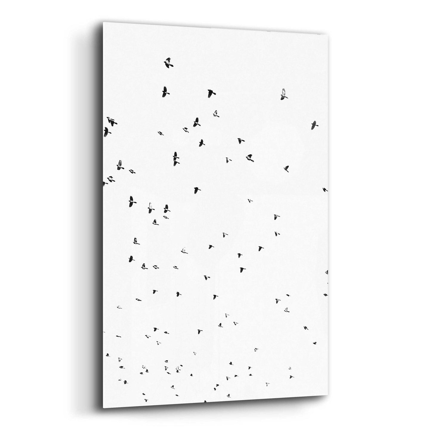 Epic Art 'Bird Constellation' by Epic Portfolio, Acrylic Glass Wall Art,12x16