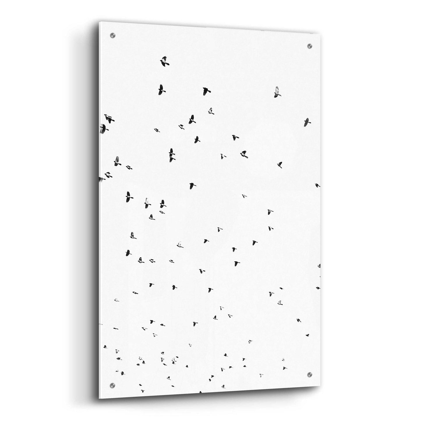 Epic Art 'Bird Constellation' by Epic Portfolio, Acrylic Glass Wall Art,24x36