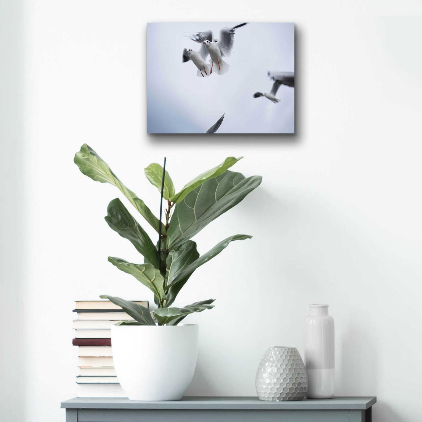 Epic Art 'Bird Hug' by Epic Portfolio, Acrylic Glass Wall Art,16x12