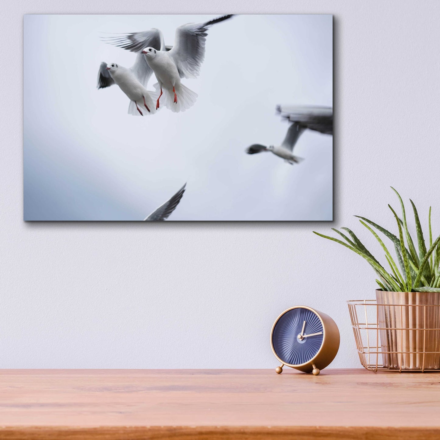 Epic Art 'Bird Hug' by Epic Portfolio, Acrylic Glass Wall Art,16x12