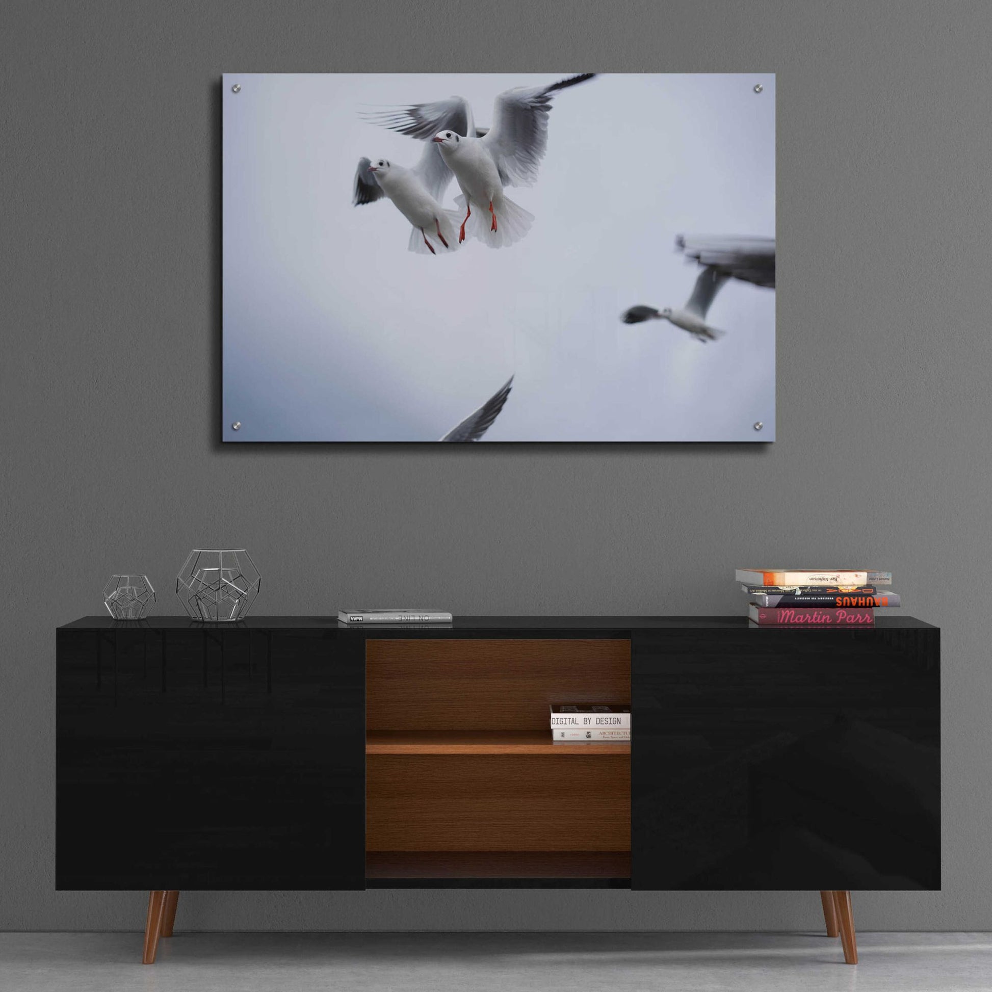 Epic Art 'Bird Hug' by Epic Portfolio, Acrylic Glass Wall Art,36x24