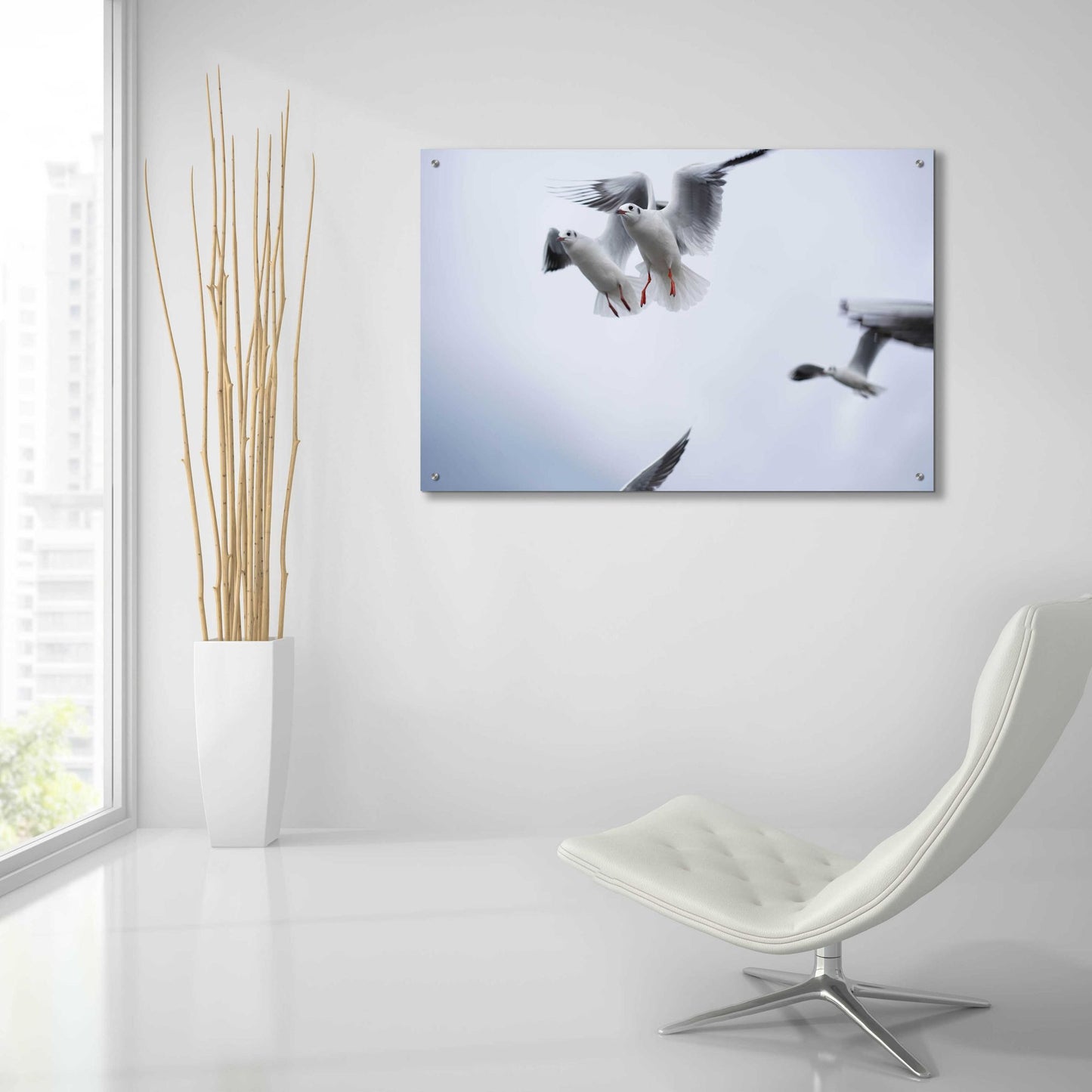 Epic Art 'Bird Hug' by Epic Portfolio, Acrylic Glass Wall Art,36x24