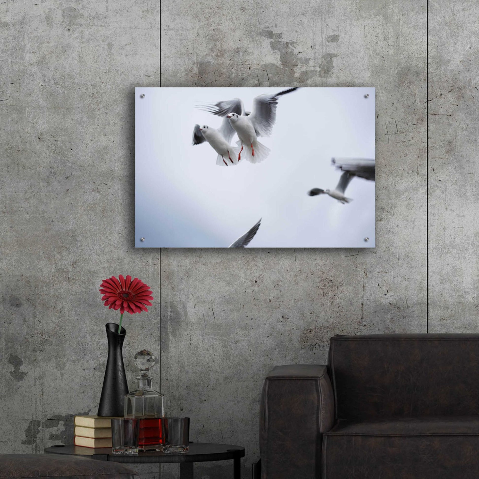 Epic Art 'Bird Hug' by Epic Portfolio, Acrylic Glass Wall Art,36x24