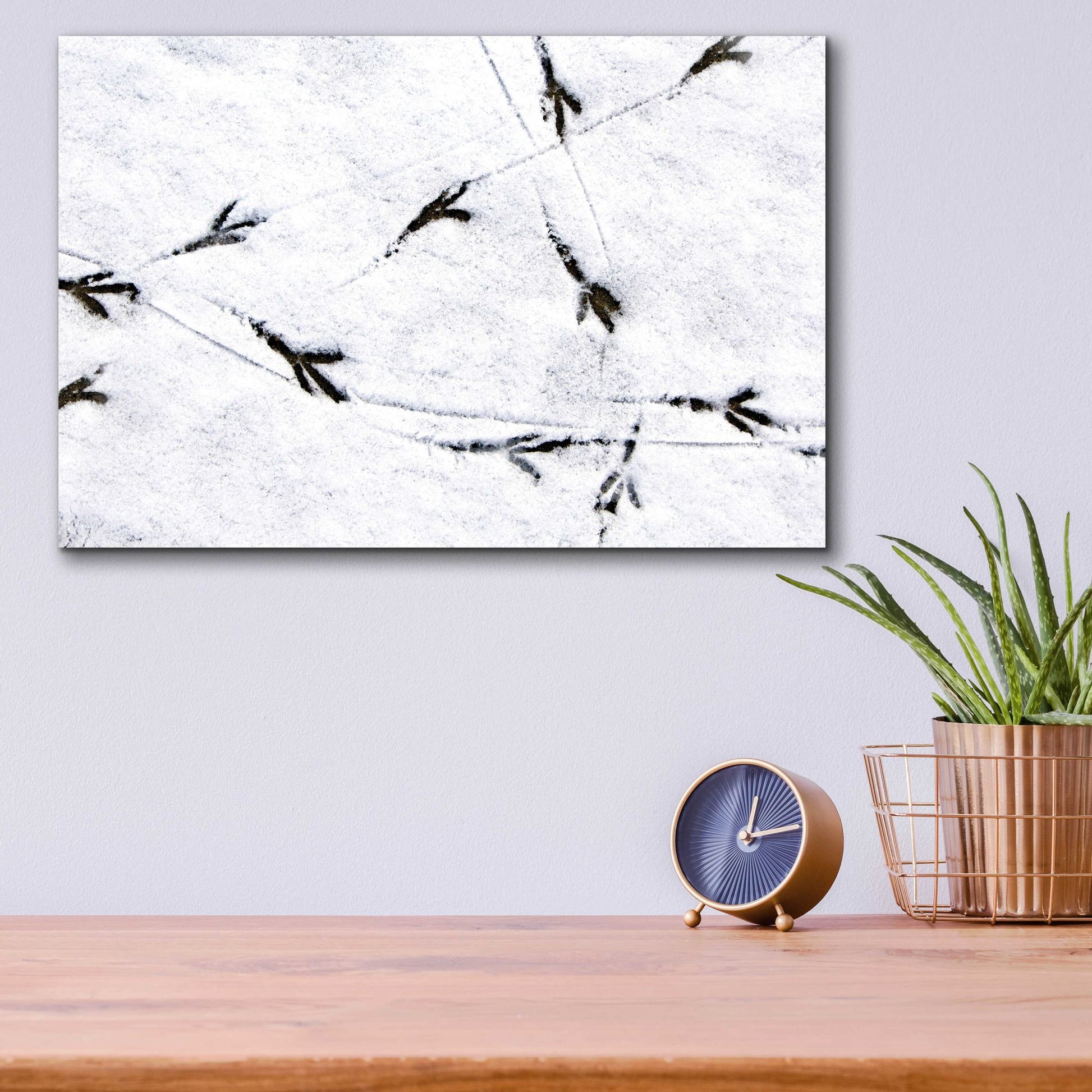 Epic Art 'Bird's footprints' by Epic Portfolio, Acrylic Glass Wall Art,16x12