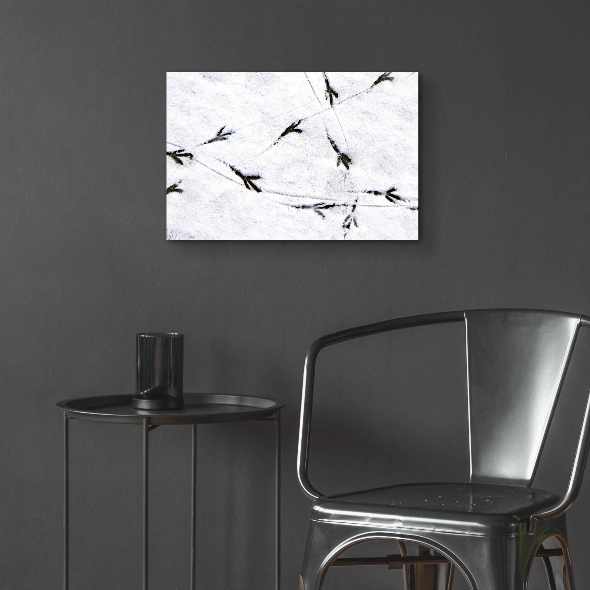 Epic Art 'Bird's footprints' by Epic Portfolio, Acrylic Glass Wall Art,24x16