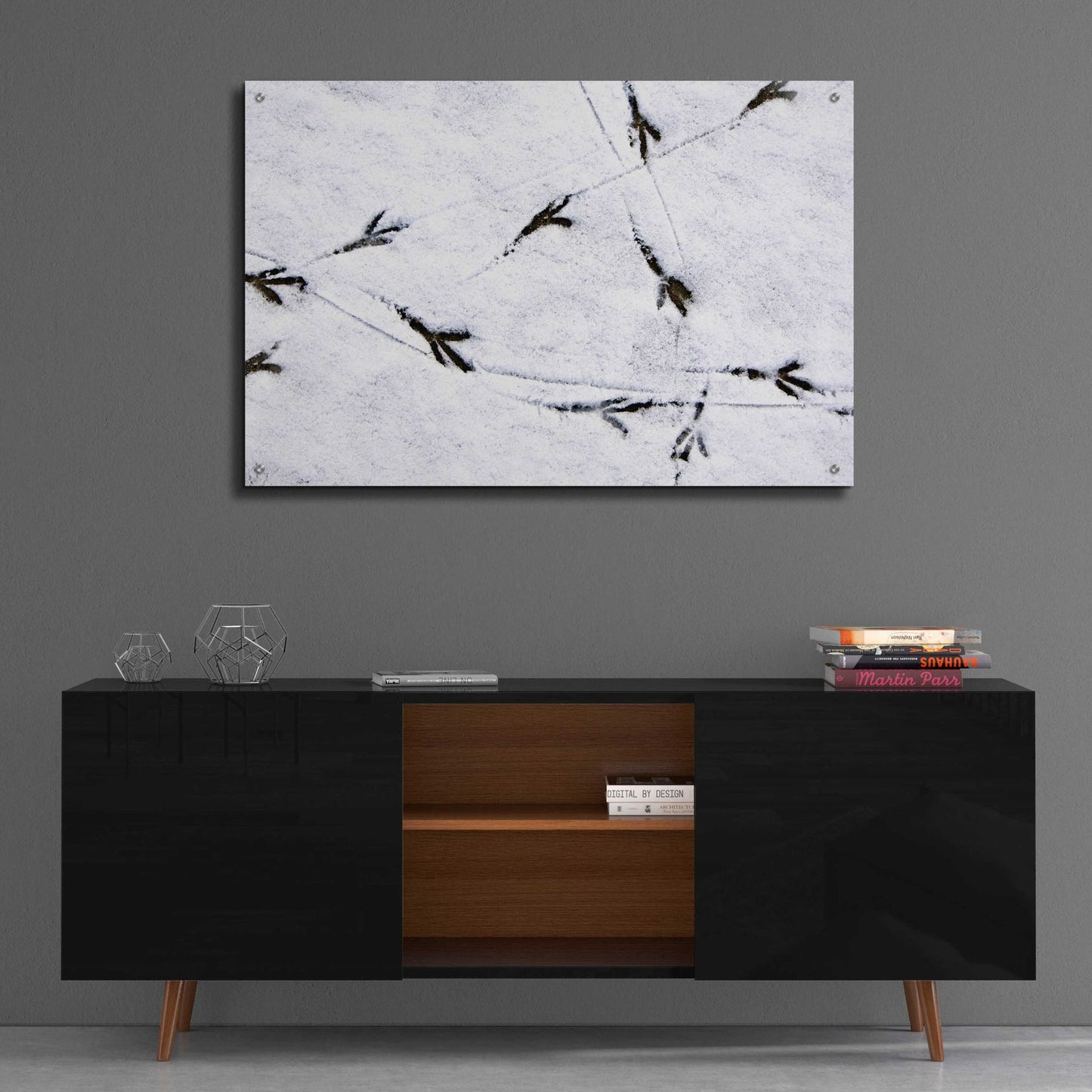 Epic Art 'Bird's footprints' by Epic Portfolio, Acrylic Glass Wall Art,36x24