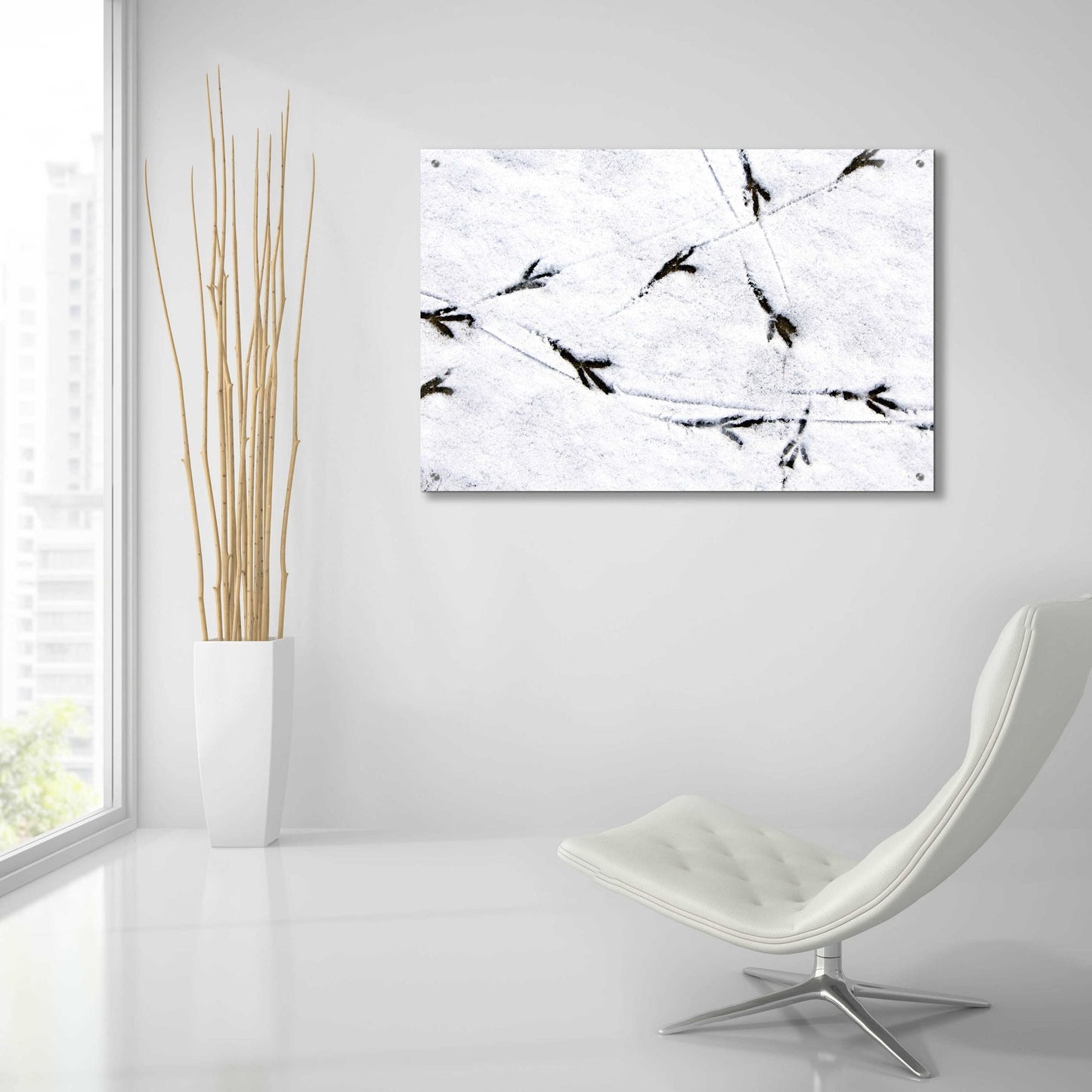 Epic Art 'Bird's footprints' by Epic Portfolio, Acrylic Glass Wall Art,36x24